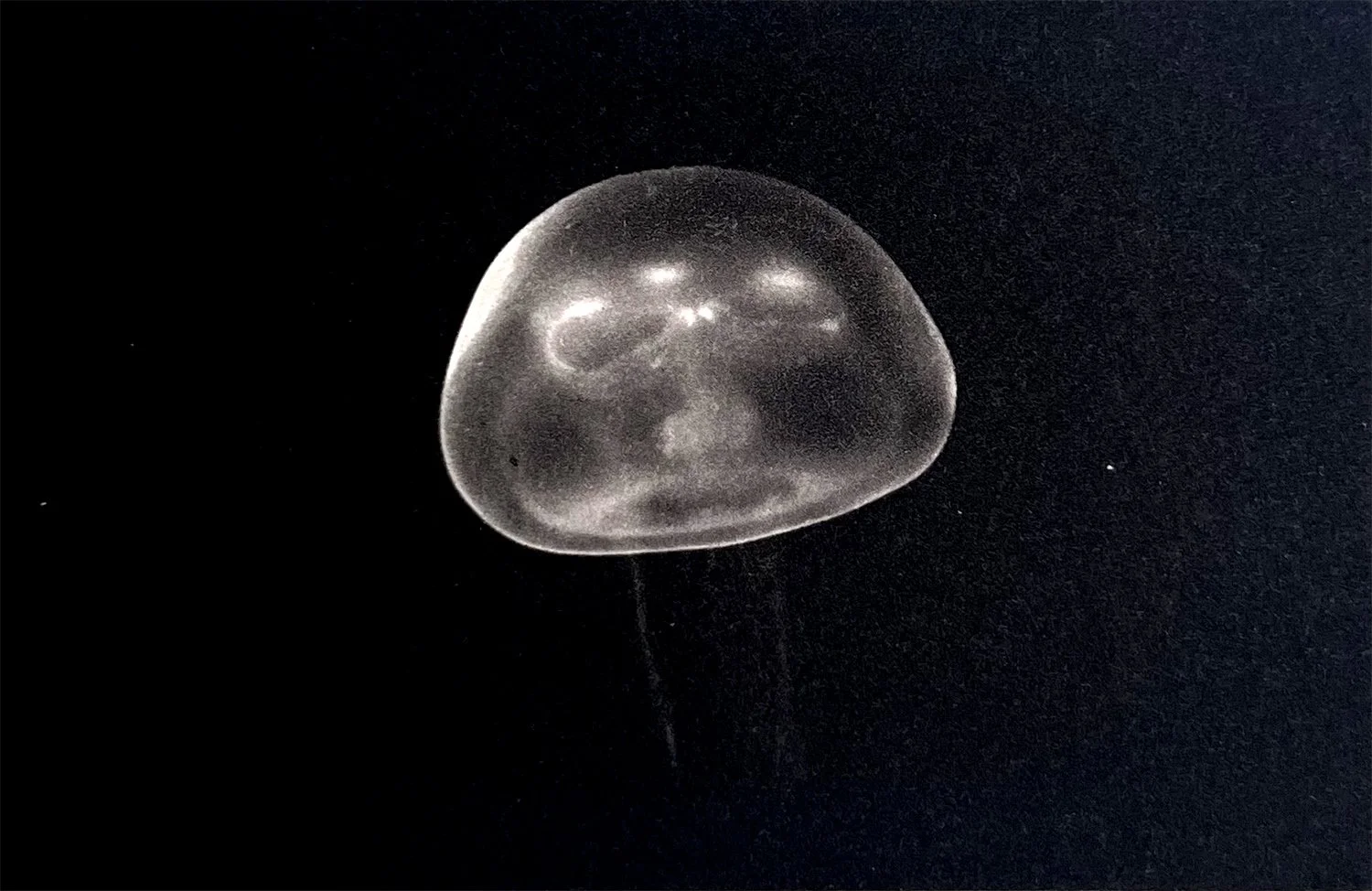 Alien III
