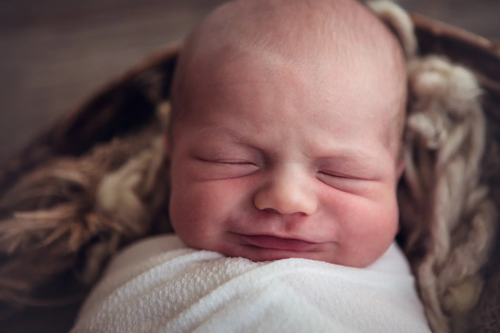 Newborn Photographer Lafayette Indiana