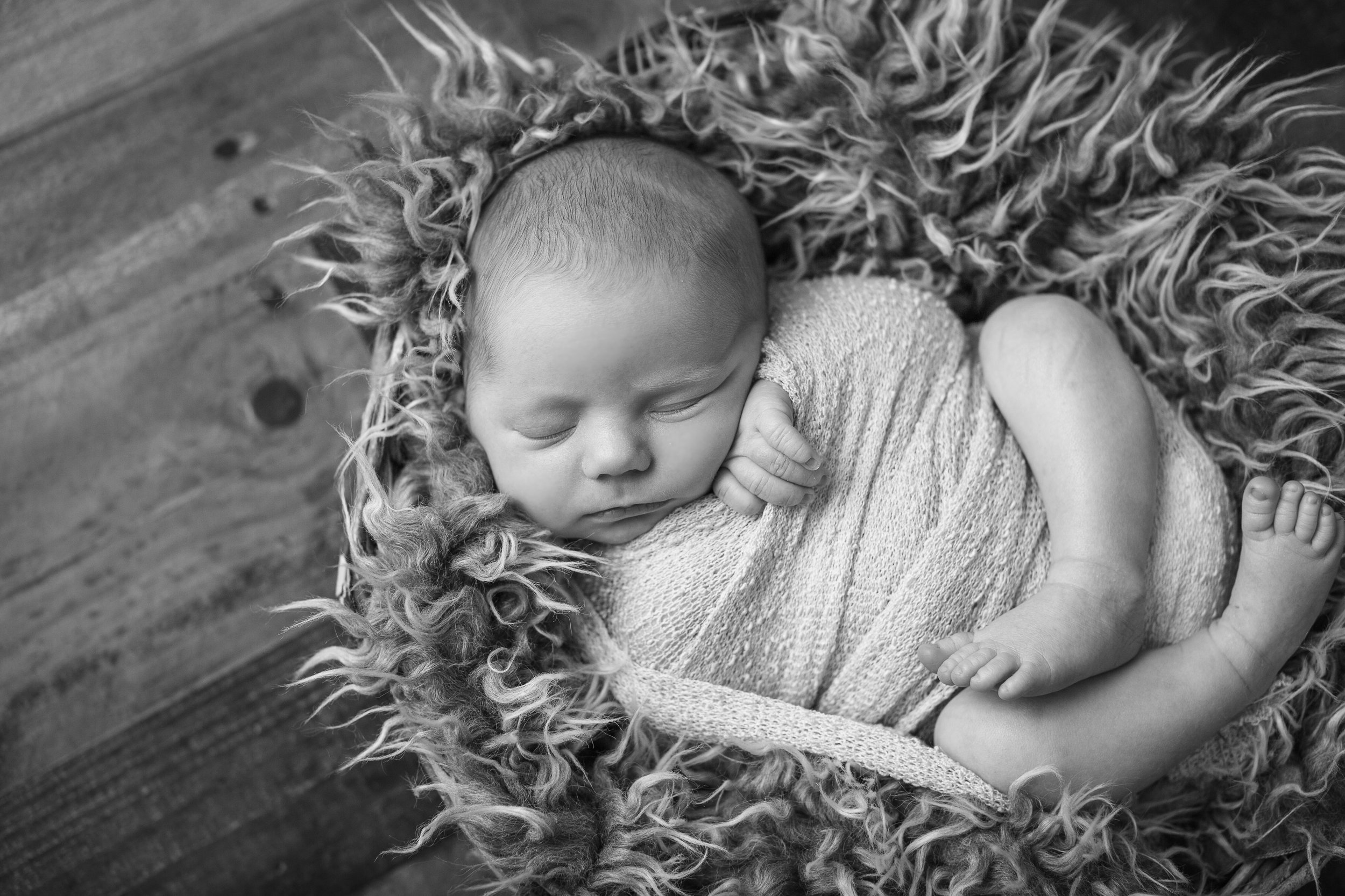 Lafayette Indiana Family Photographer
