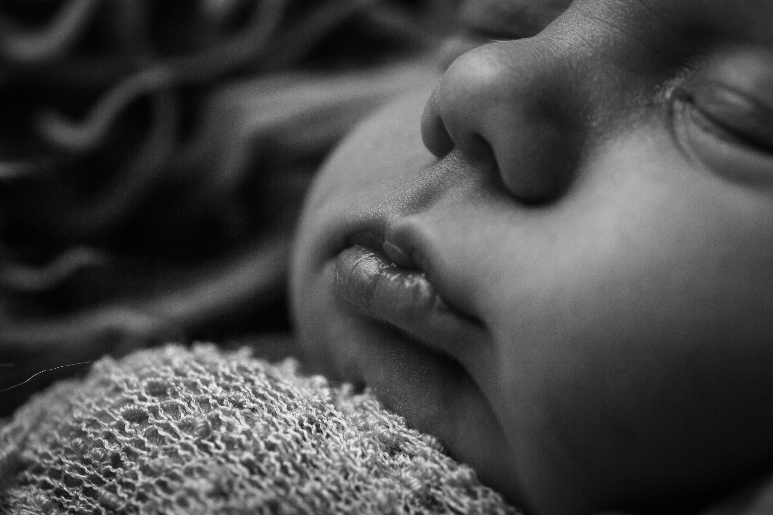 Lafayette Indiana Family Photographer