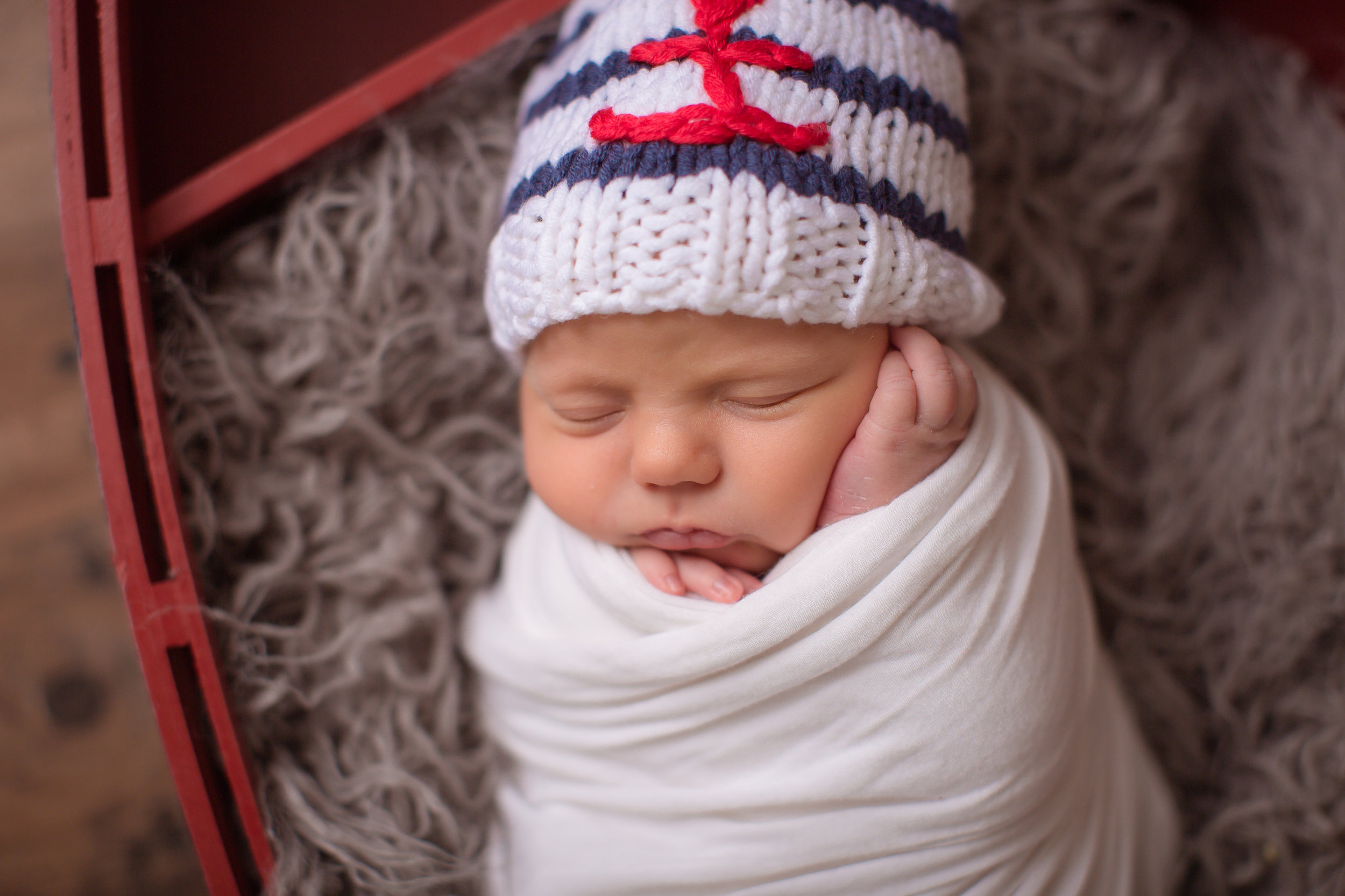 Lafayette Indiana Family Photographer