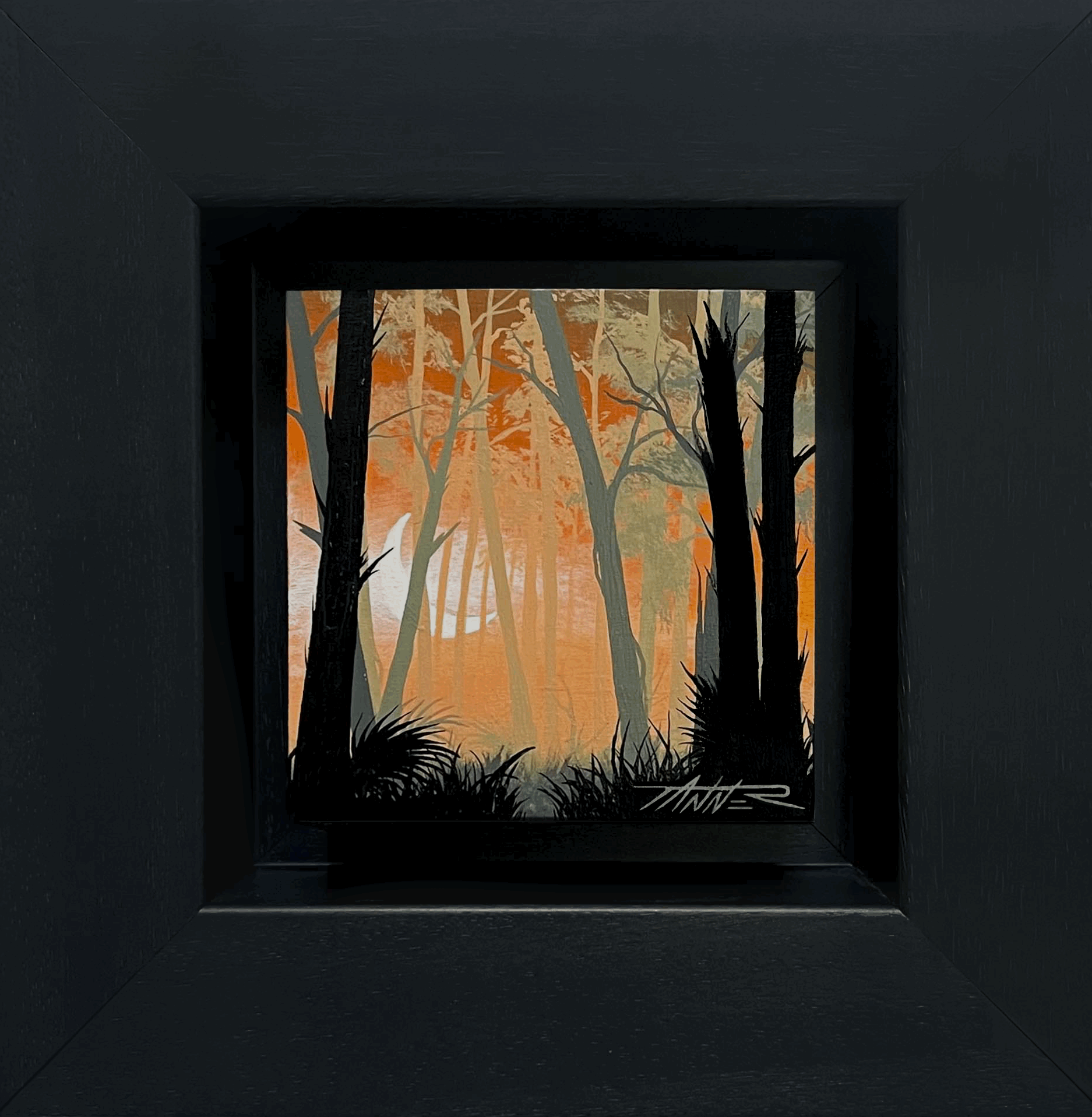 tempImage7B4Dmp.gif