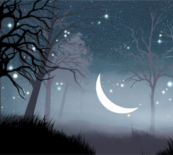 The Stars Remember