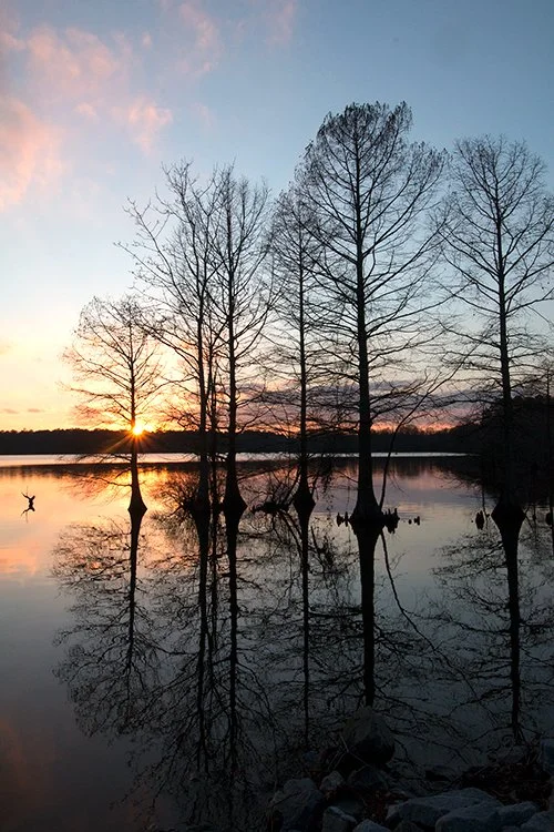 2813 stumpy lake.jpg