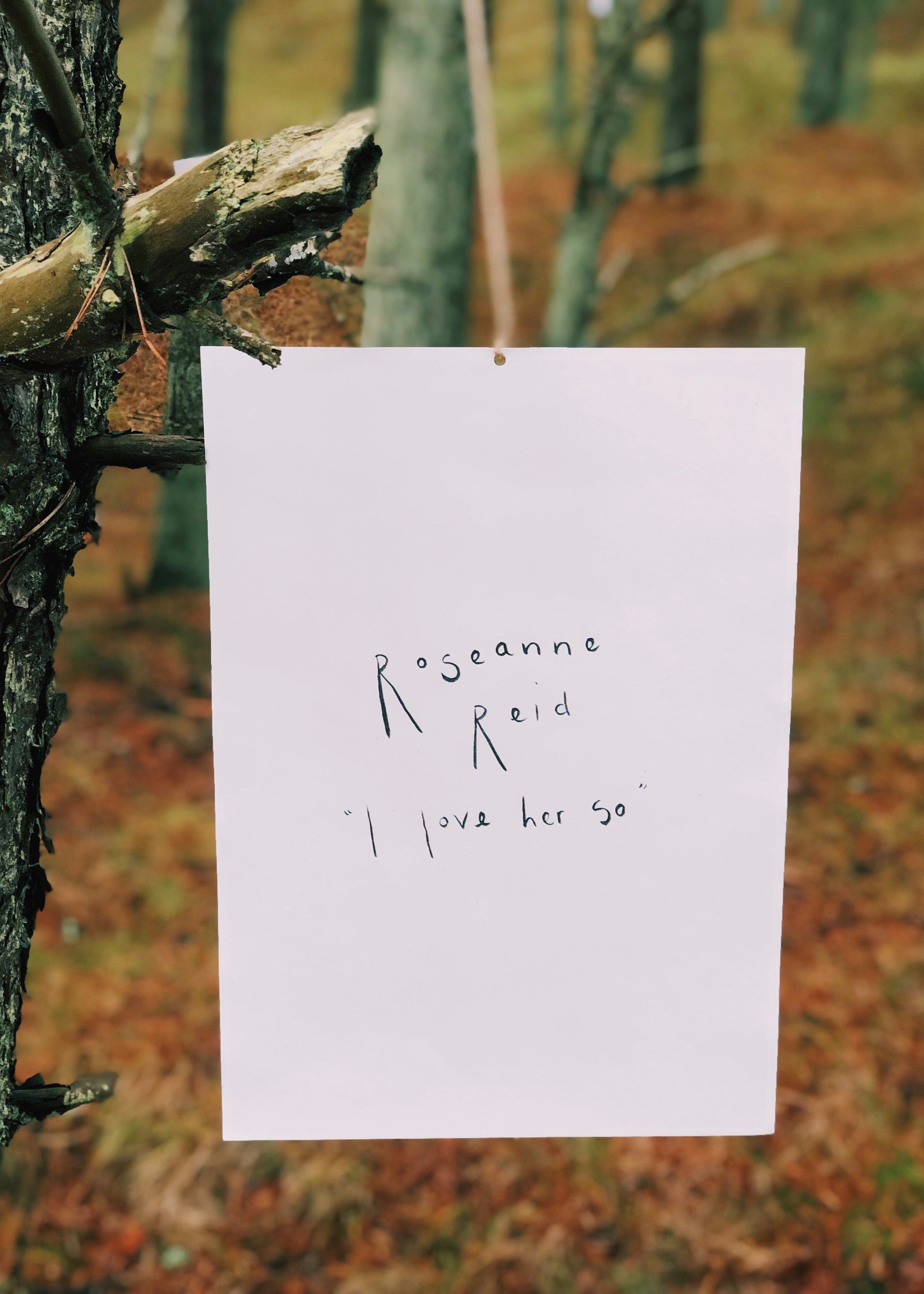 171102F0-D0AC-45B3-A930-3DC9EB775294.jpeg