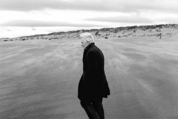 Horse on St. Cyrus Beach