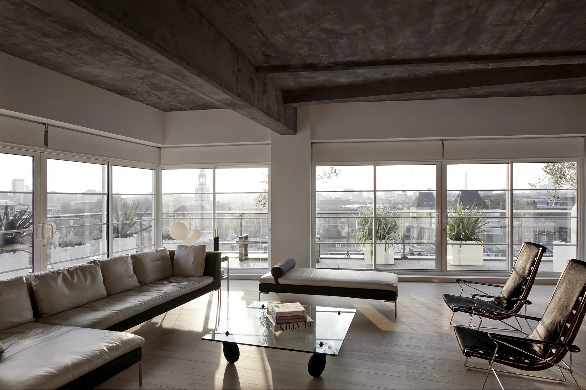 AR36529.jpg