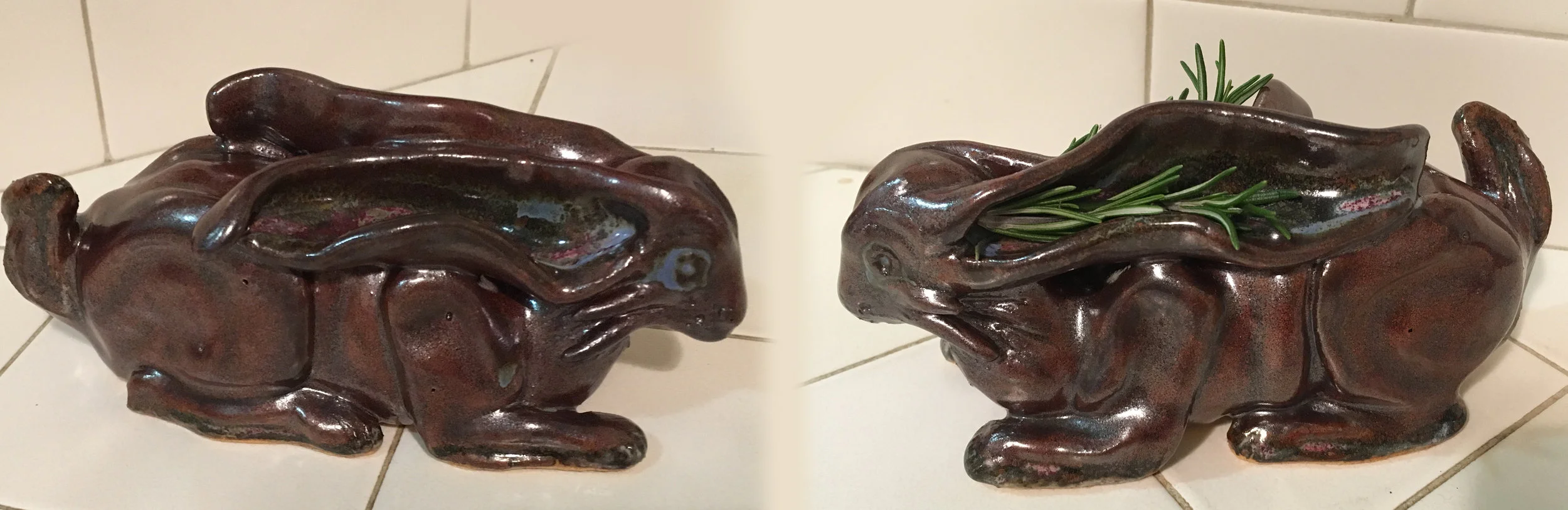 bunny.jpg