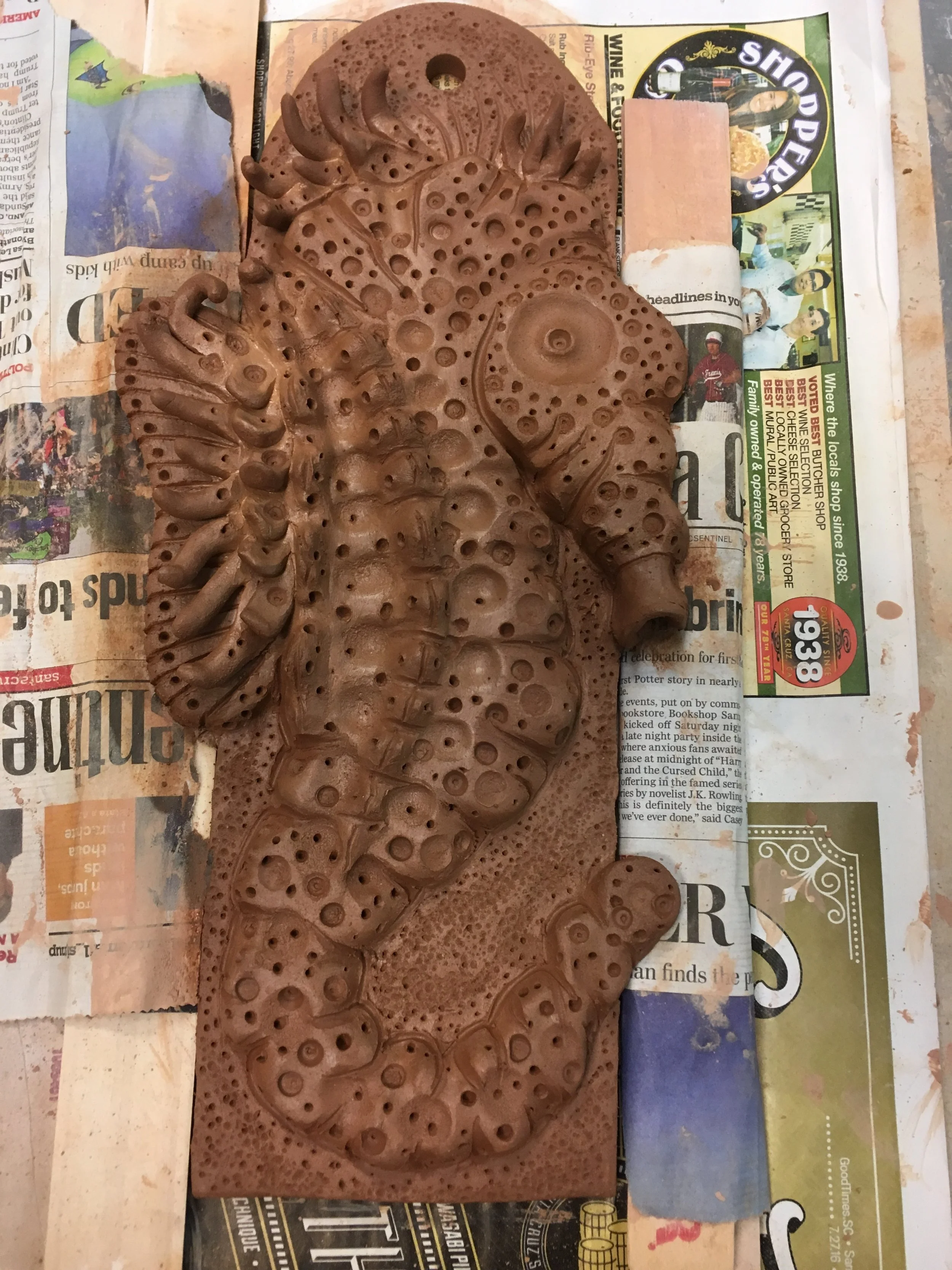 seahorse.jpg