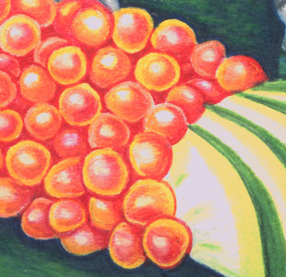 sushi1 .png