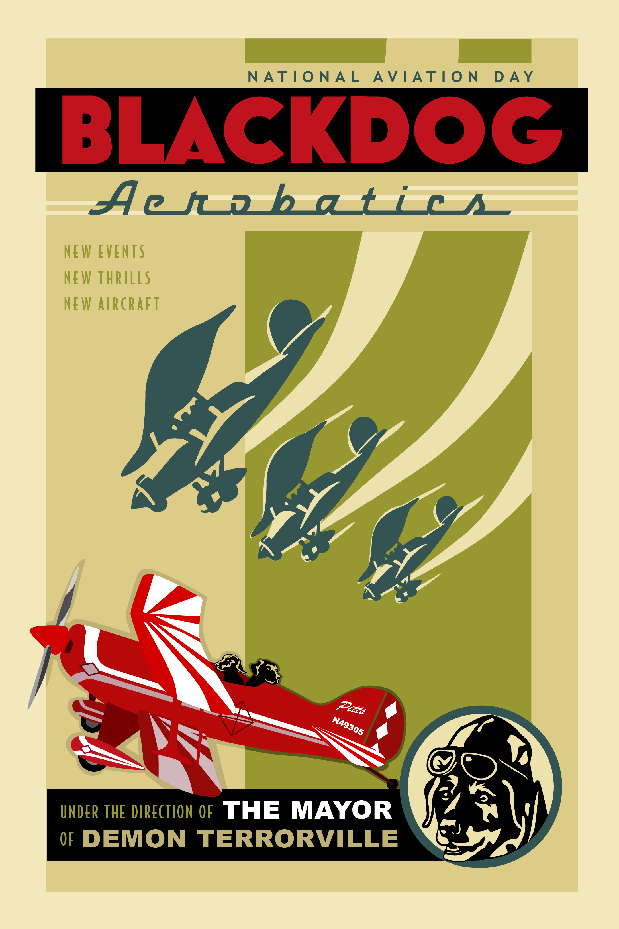 AA plane poster.png