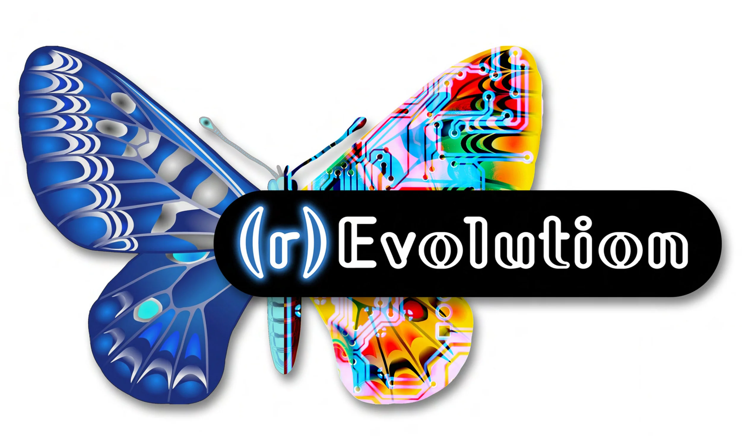 butterfly.jpg