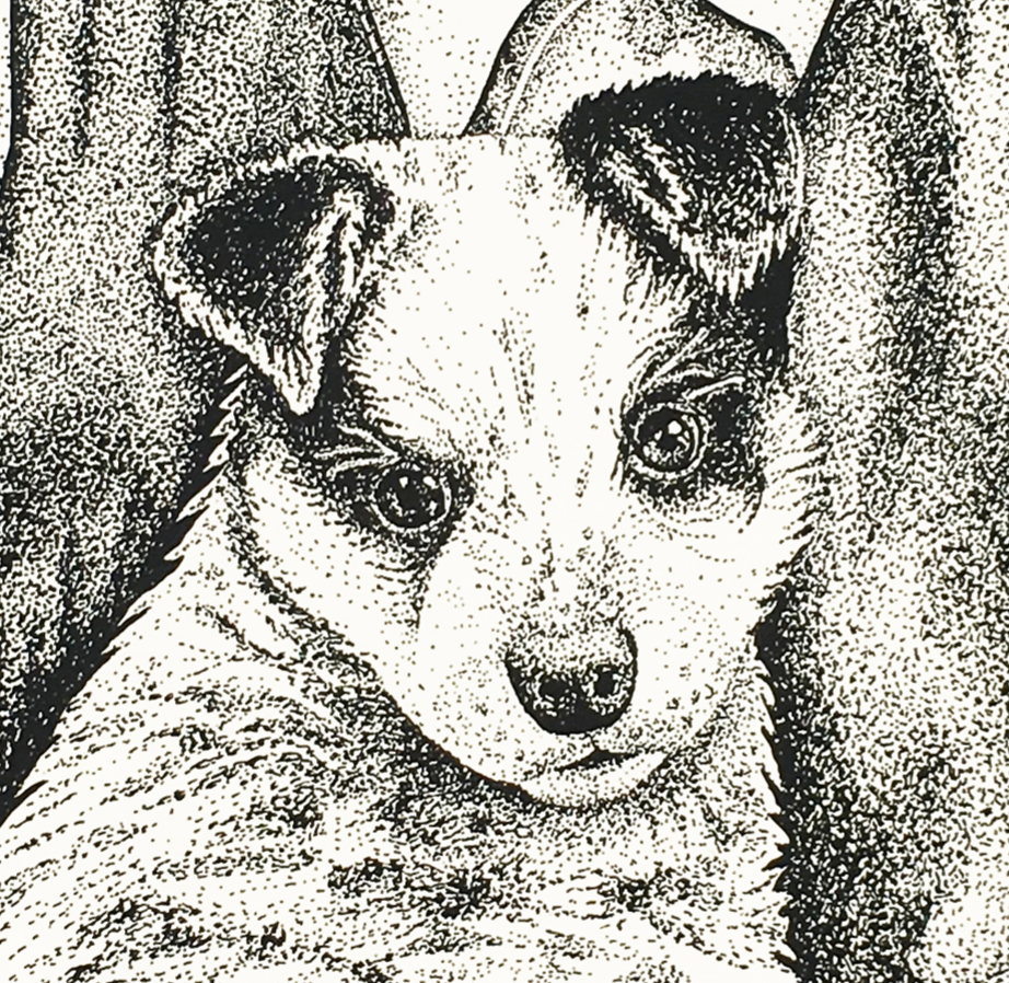 puppy.png