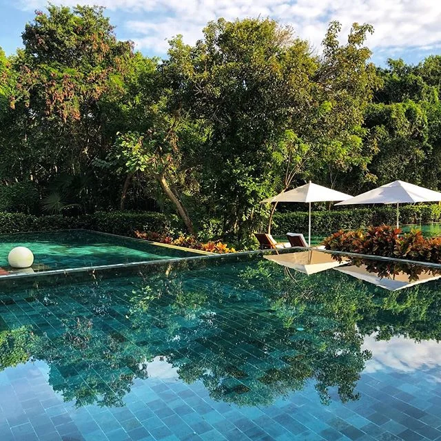 Zen Pool @grandvelasmaya lives up to the name. And is my favorite spot, of course. .
.
.
.
#travelscouting #smartflyer #mexico #rivieramaya #velasresorts #travelgram #traveldeeper #takemethere #mytinyatlas #myweekendescape #dispatchfrom #beautifuldes