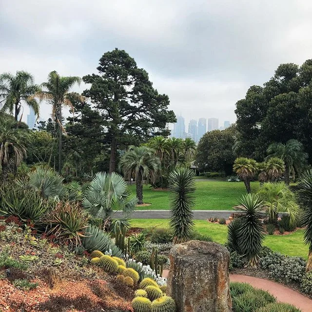 Location, location, location. Staying across from @royalbotanicgardensvic in Melbourne was such a bonus.