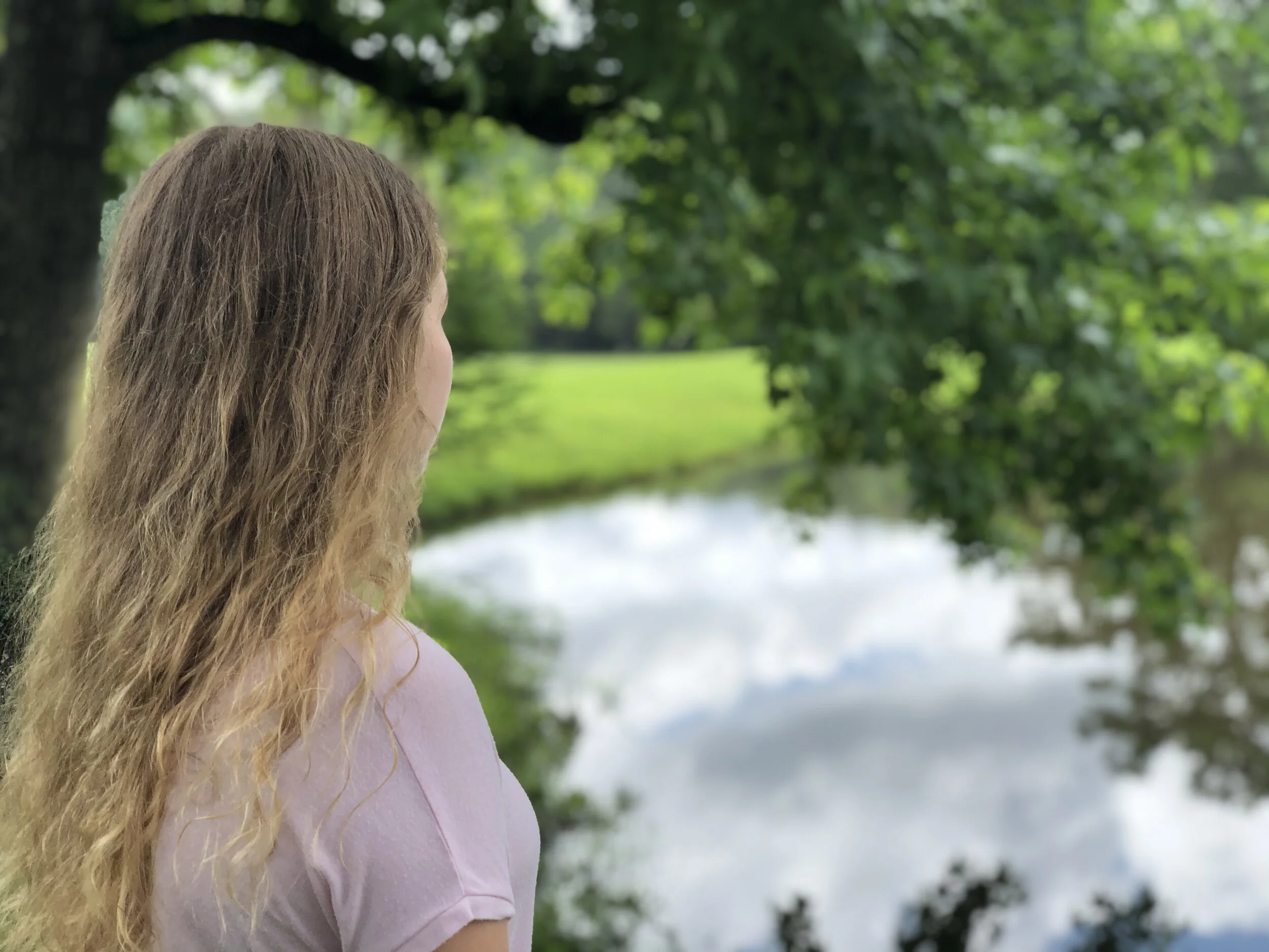 Rescue Update - Summer 2020