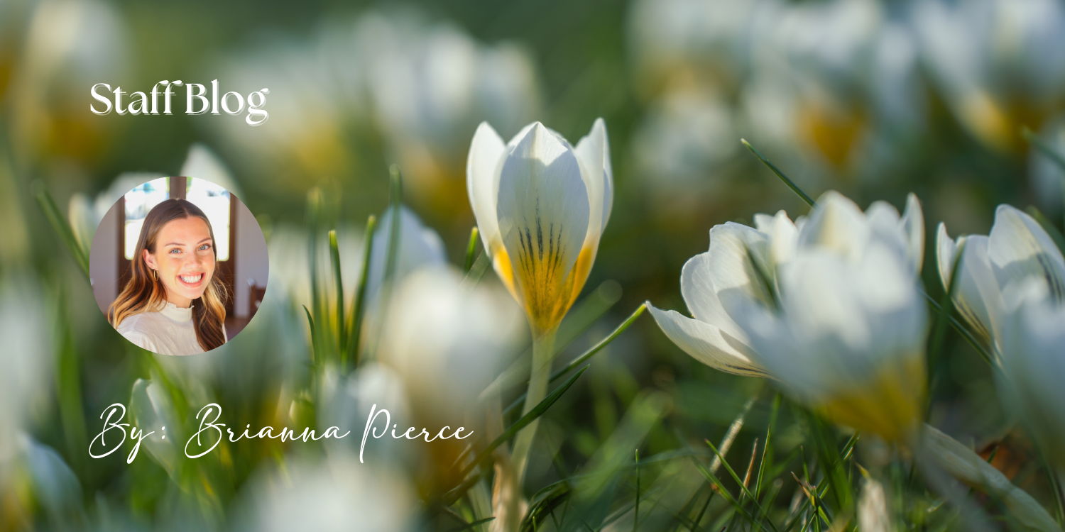 A Place Where Life Returns