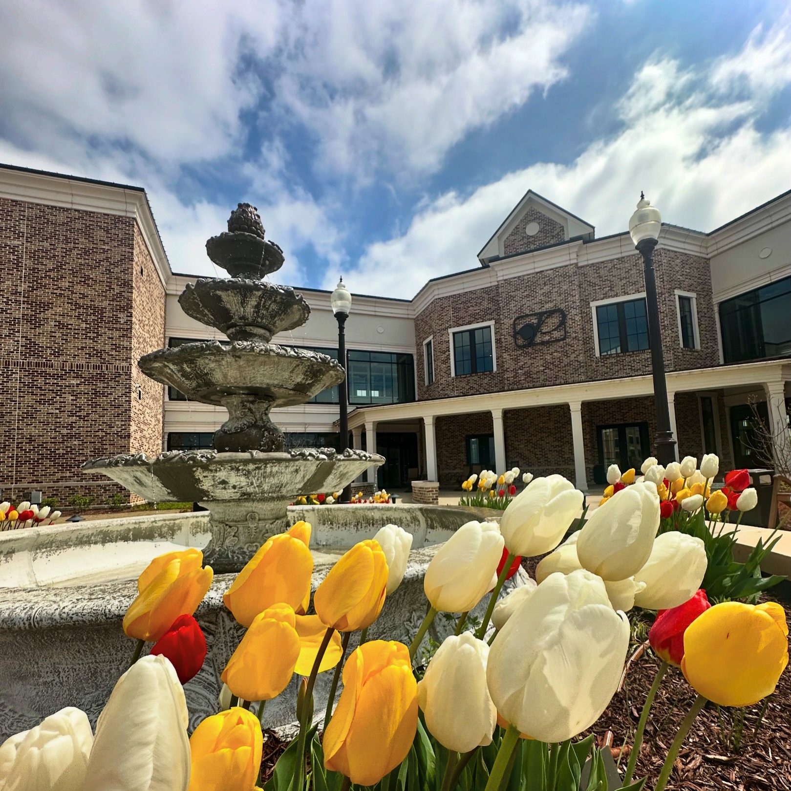 April showers bring May flowers 🌷☔️

We cannot wait for the exciting things to come this Spring! 
&bull;Lucky Dog Music Hall &amp; Bar is NOW OPEN! 
&bull;Sippin&rsquo; Silo is opening SOON!
&bull;Blues for the Blue Crawfish &amp; Blues Festival AND