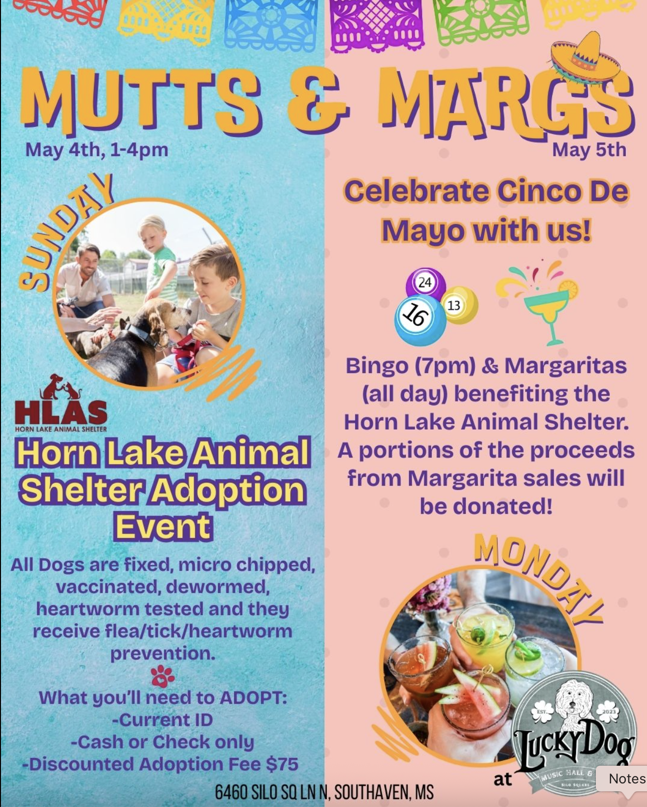 Mutts & Margs at Lucky Dog