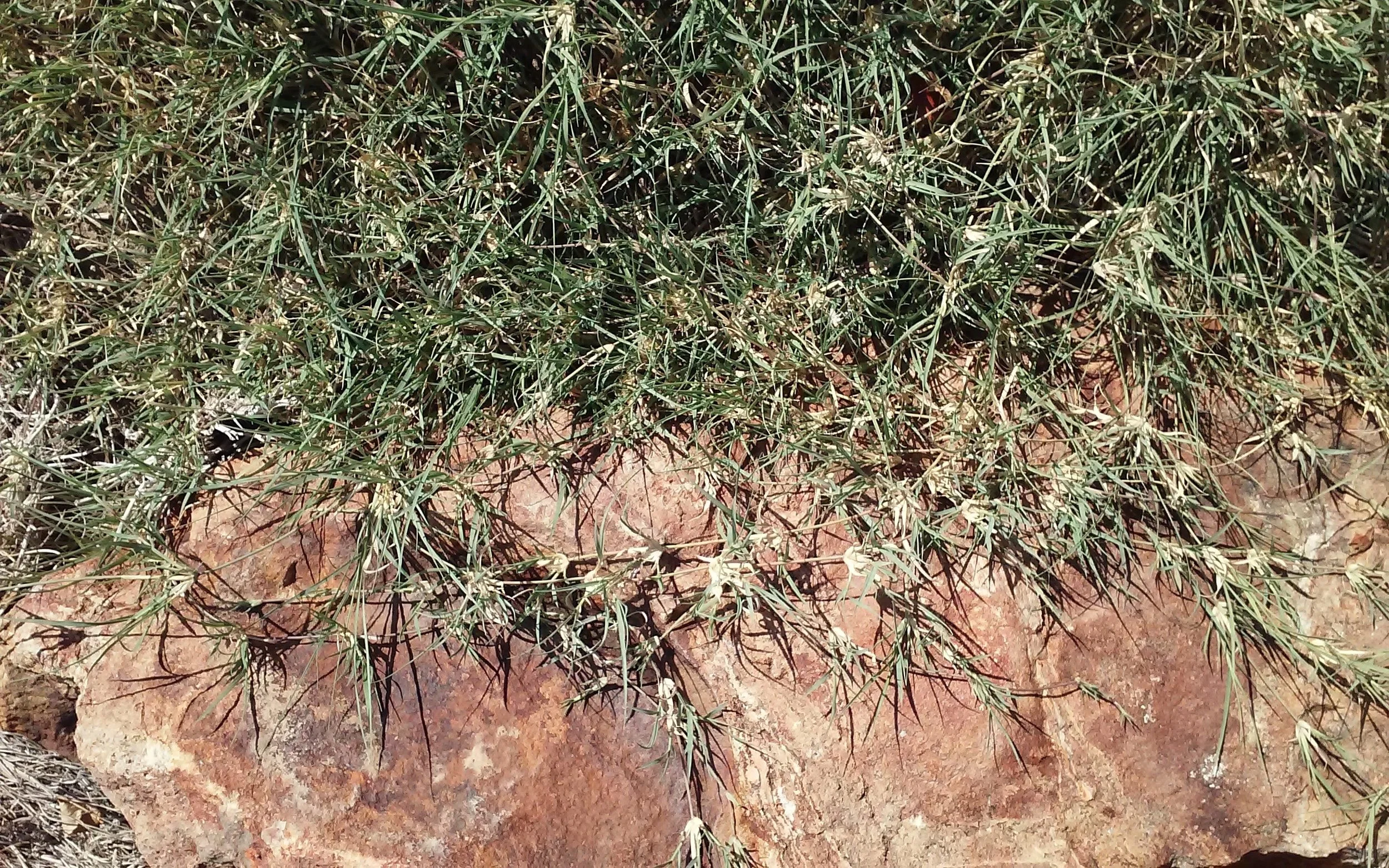 20170911_111006.jpg