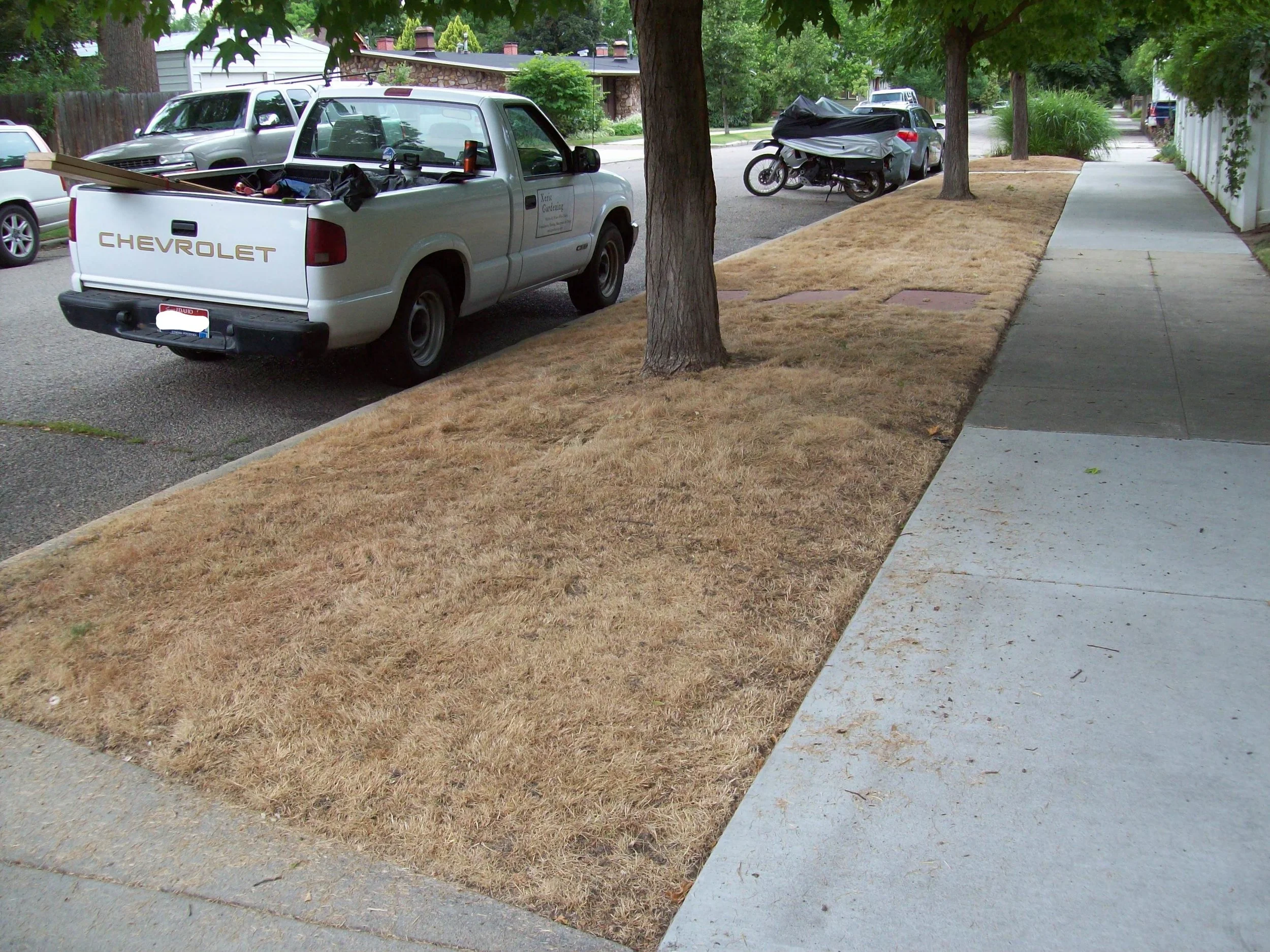 Harrison Lawn Euth 1_LI.jpg