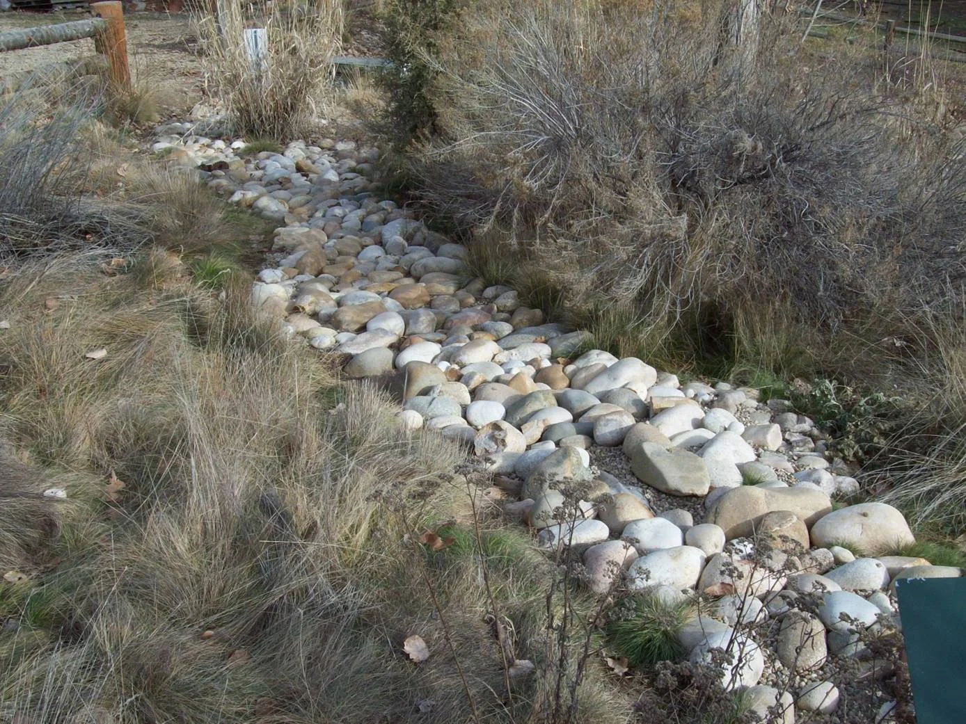 Dry Creek Bed.jpg