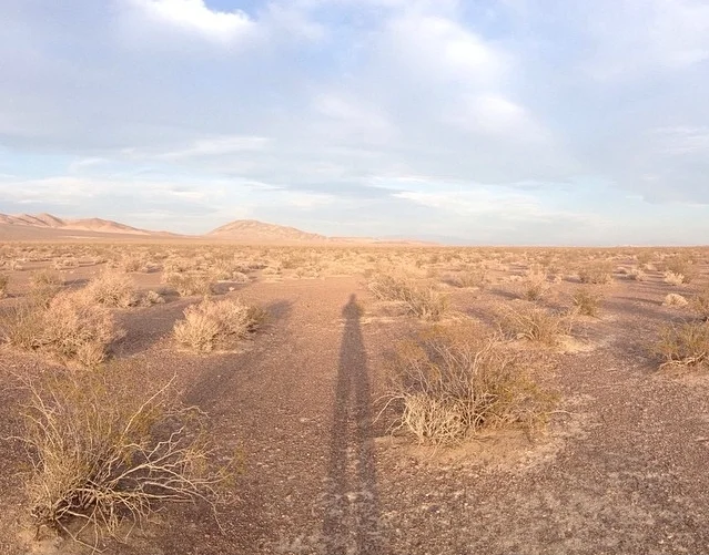 Long days and long shadows.