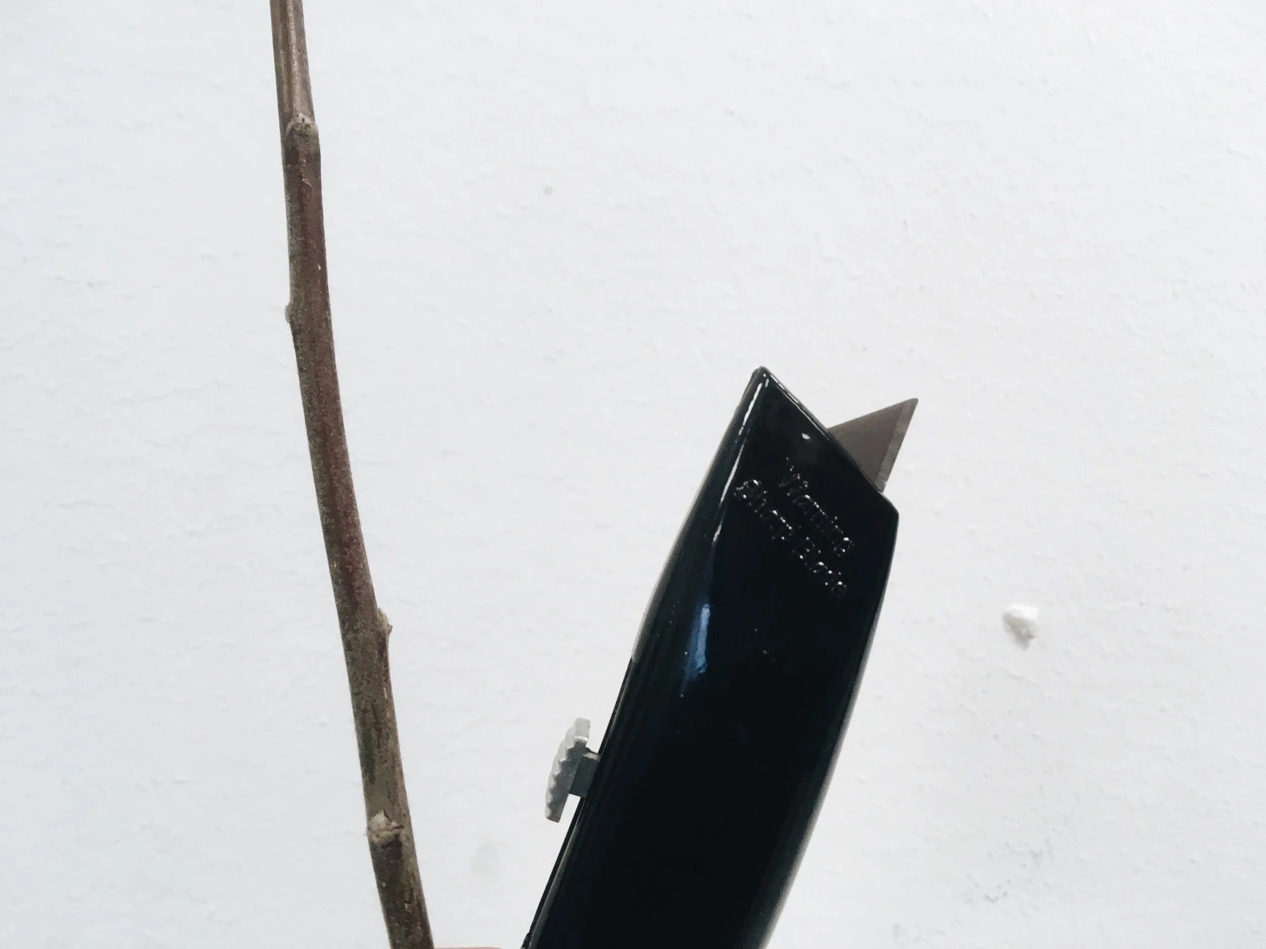 PAIH7024.jpg