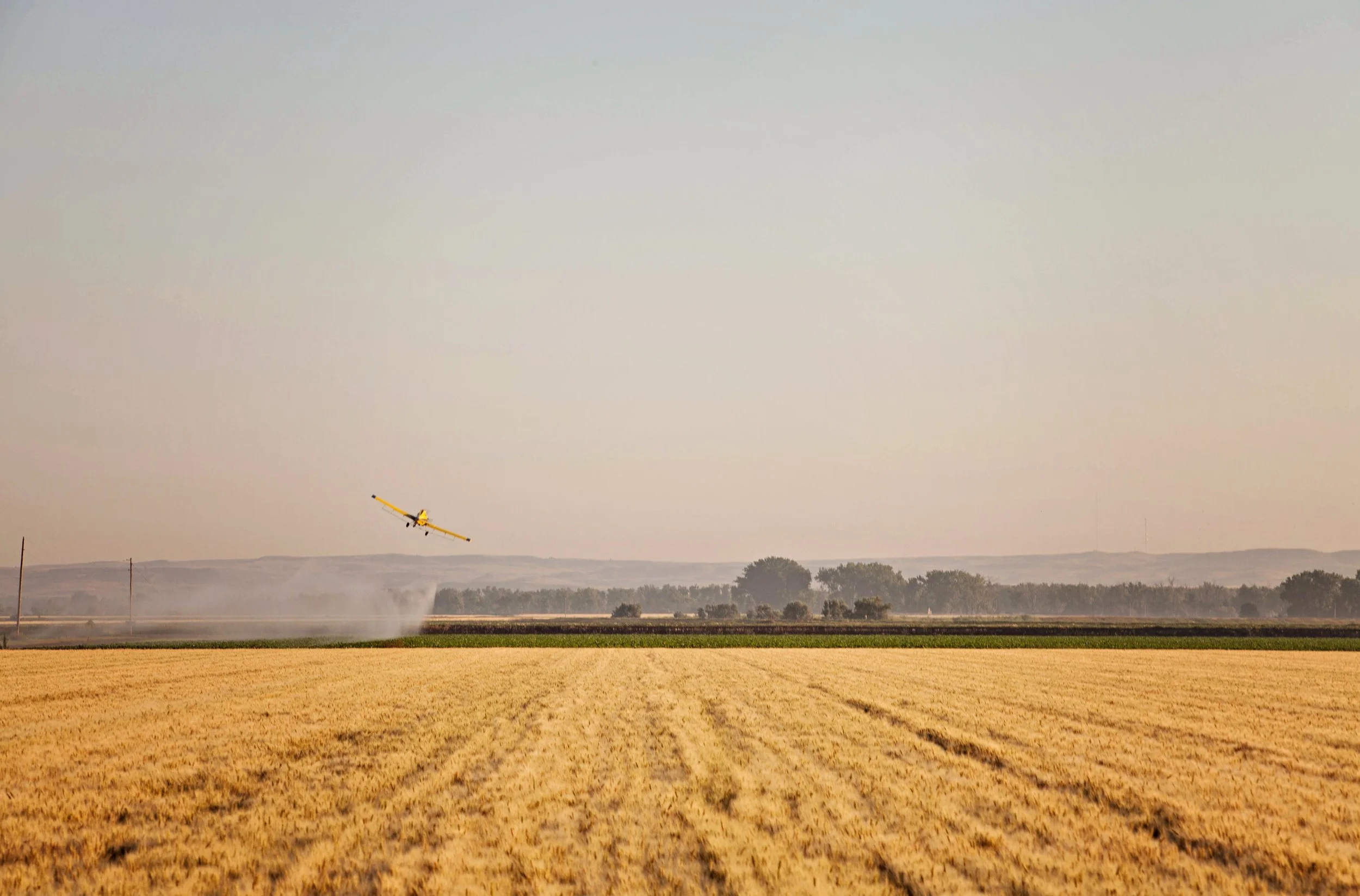 nd_cropduster_9.jpg