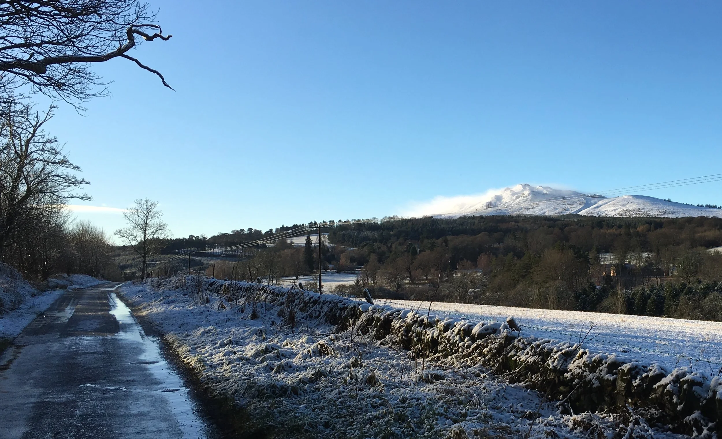 City to Country: Setting the intention