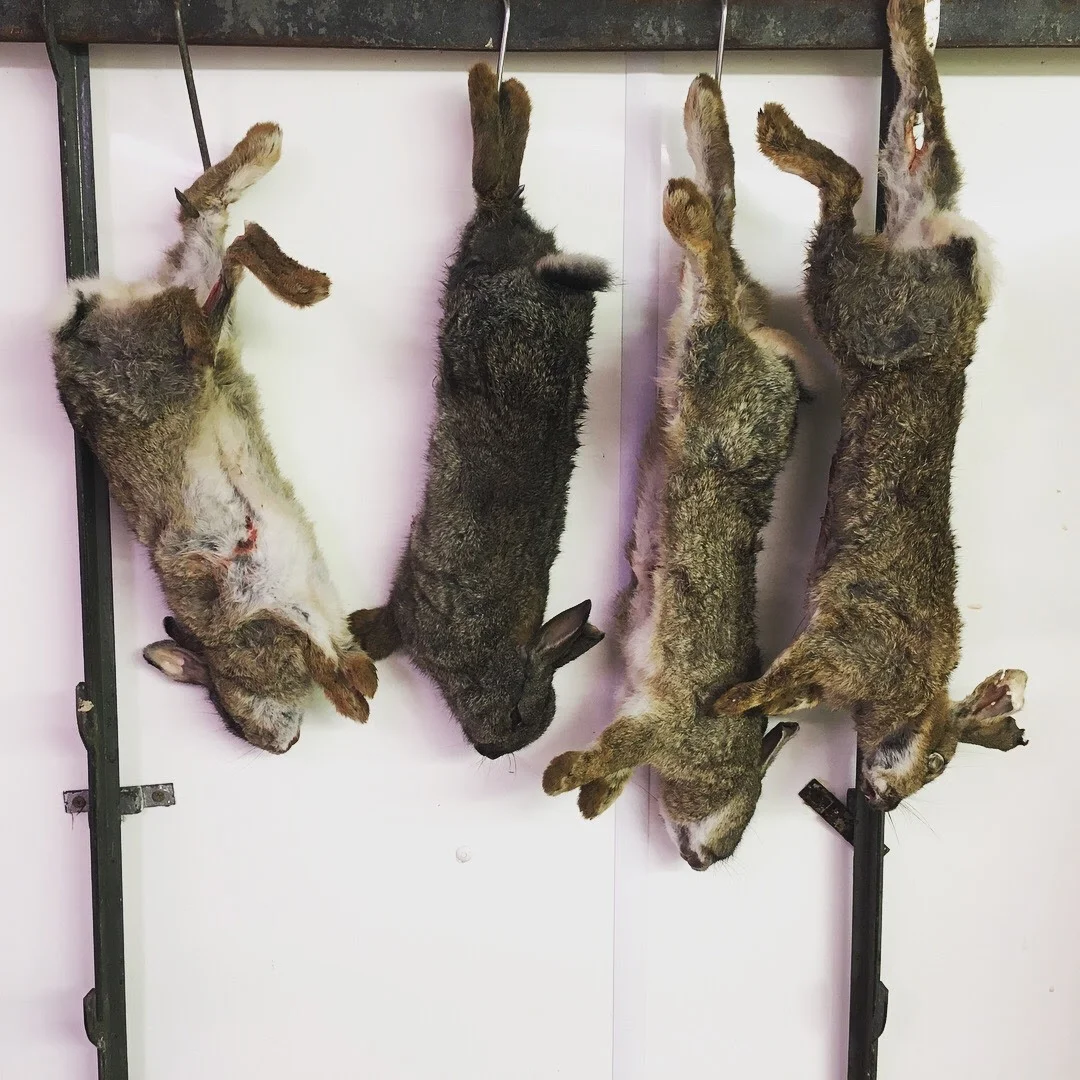 Killing, Cooking, Writing: a workshop with Louise Gray