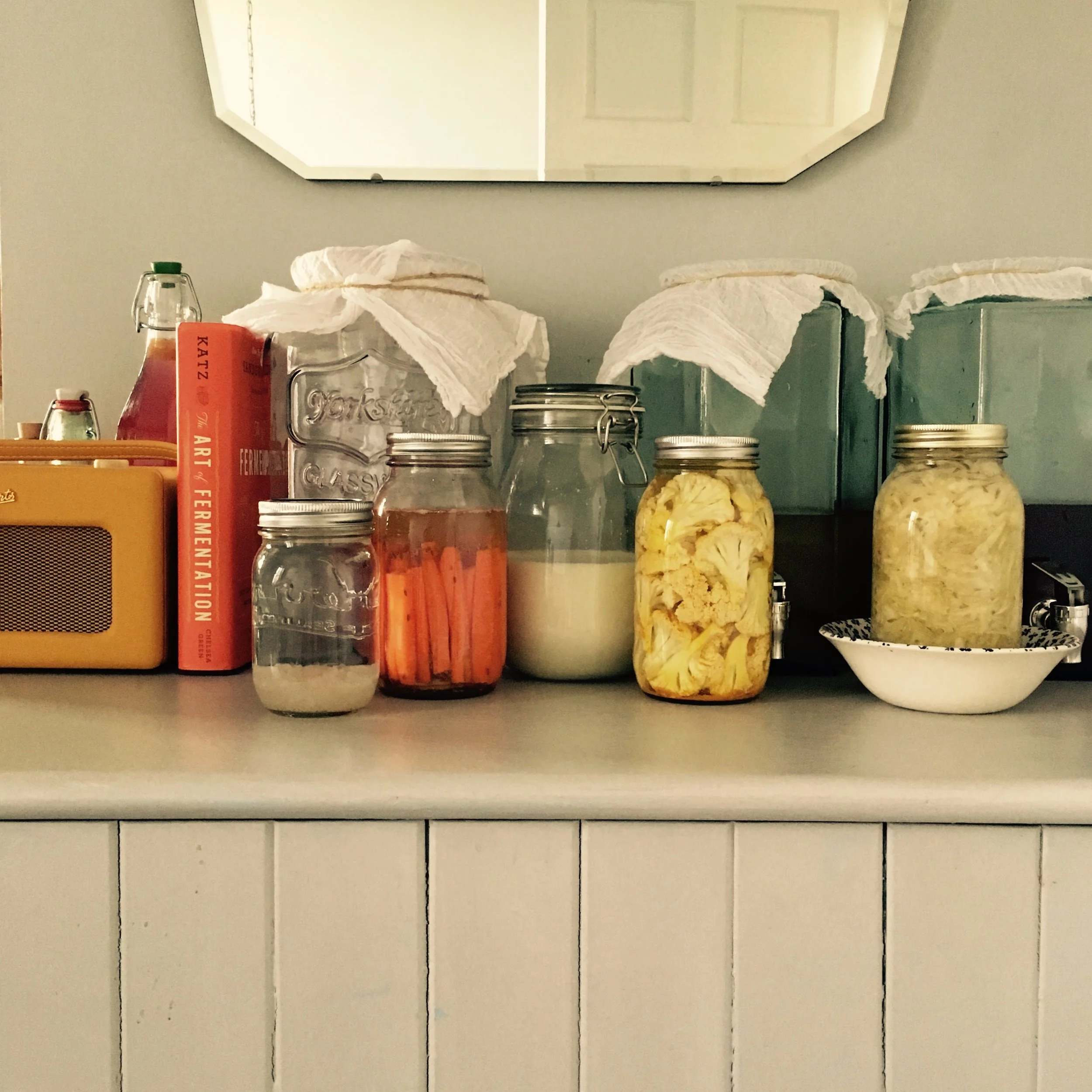 Food Cultures: a workshop on how and why to ferment