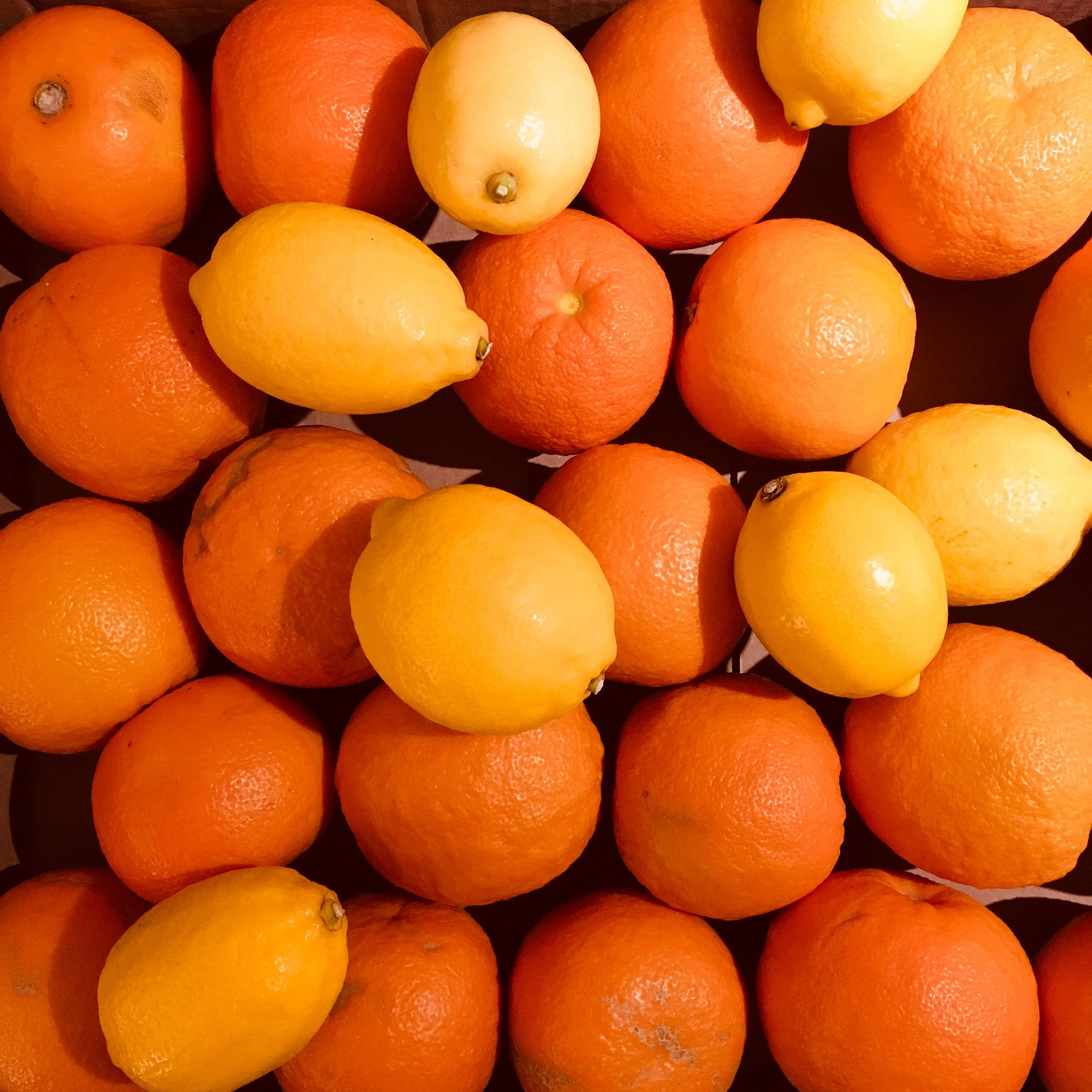 Marmalade, memory and inheritance 