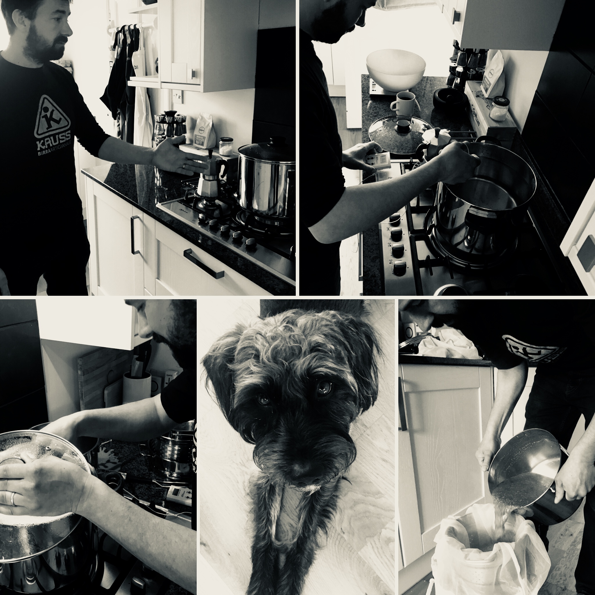 David brewing a storm at home (with Pipo keeping a close eye on things).