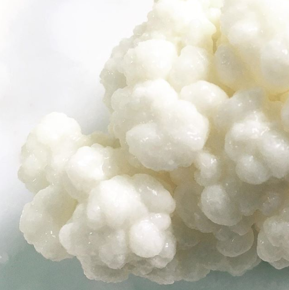 Kefir grains are a kind of SCOBY (Symbiotic Culture of Bacteria and Yeasts) which cannot be created from scratch. They have evolved with us over hundreds, maybe thousands of years, and do a great job fermenting milk!