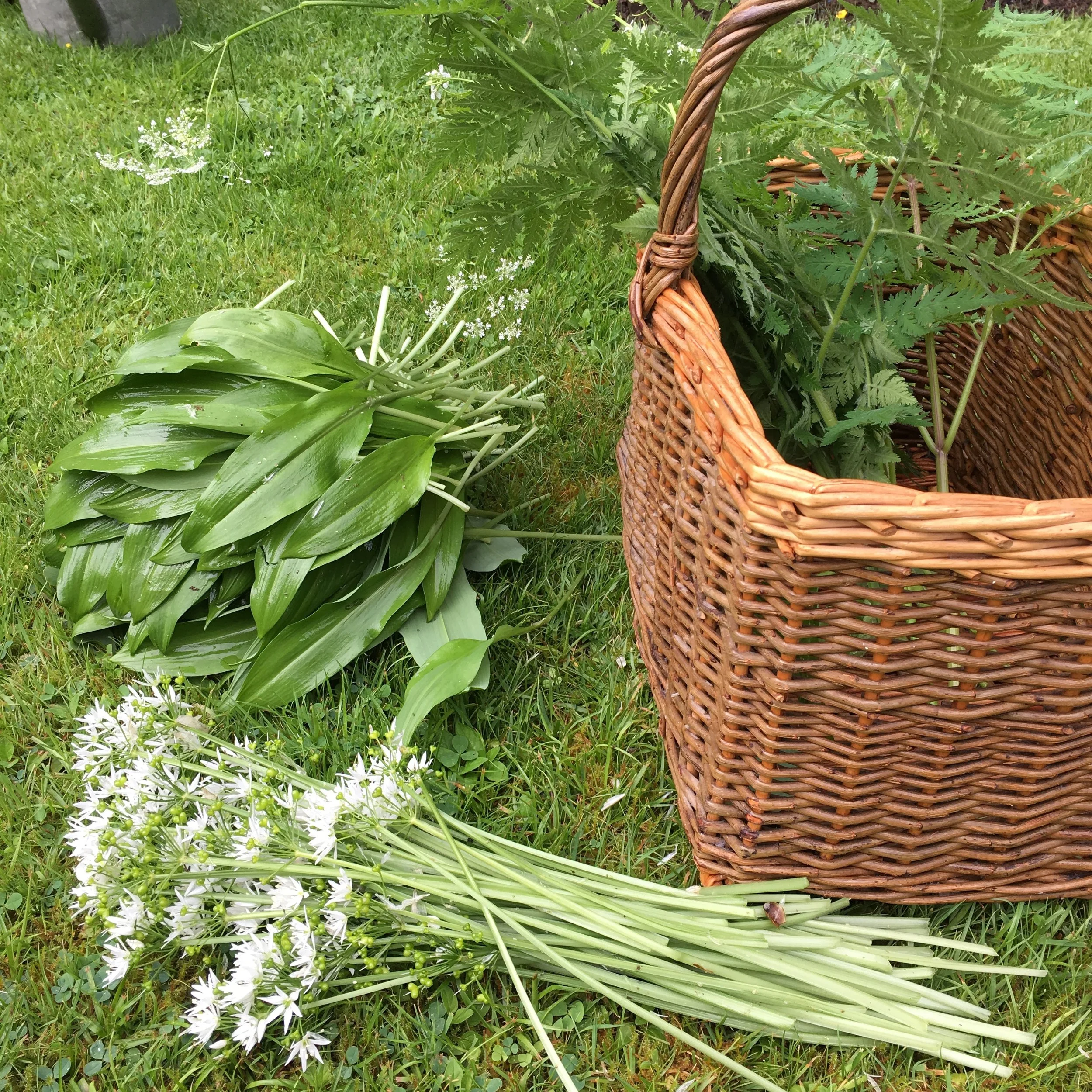 How and Why to Eat the Wild