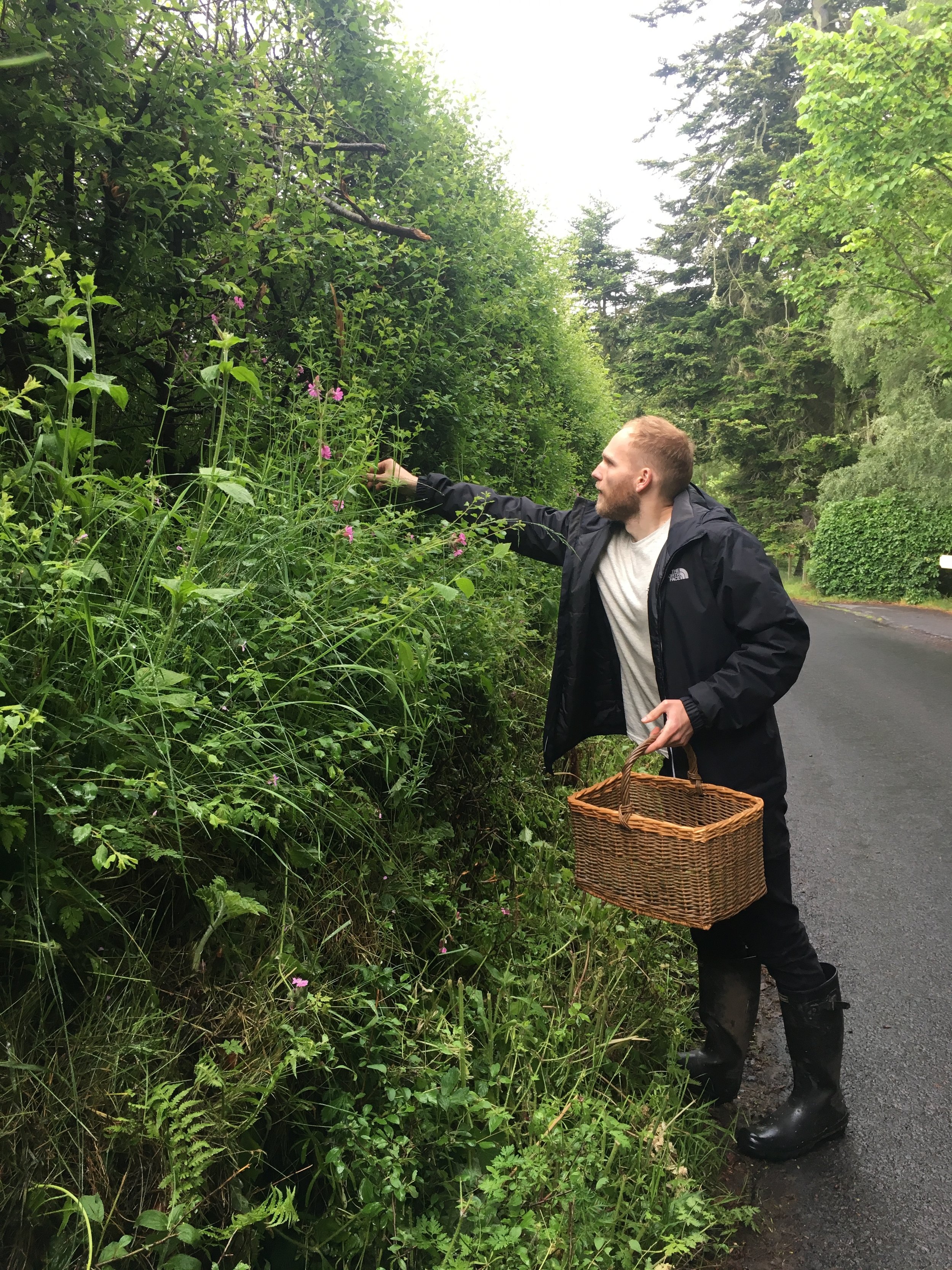 Discovering a new salad bar