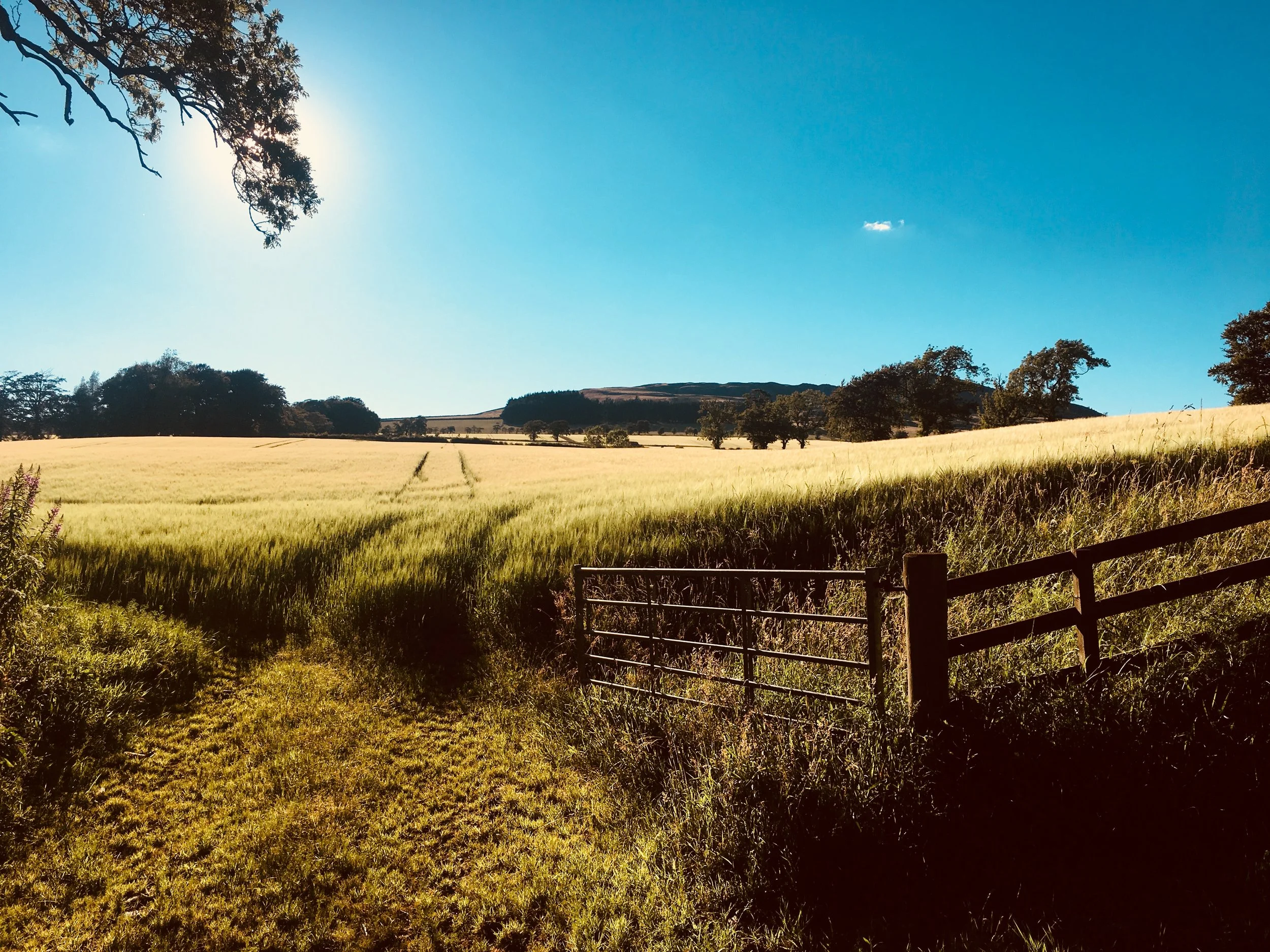 Heatwave & holidays for some, hard work for others