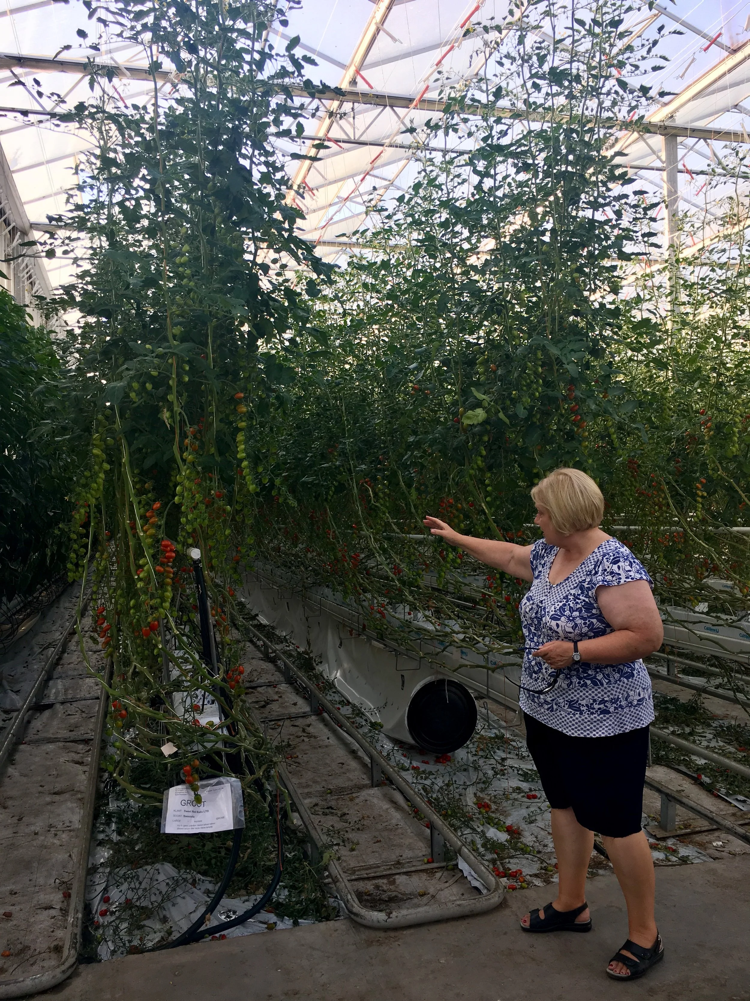 Annie explains the growing system.