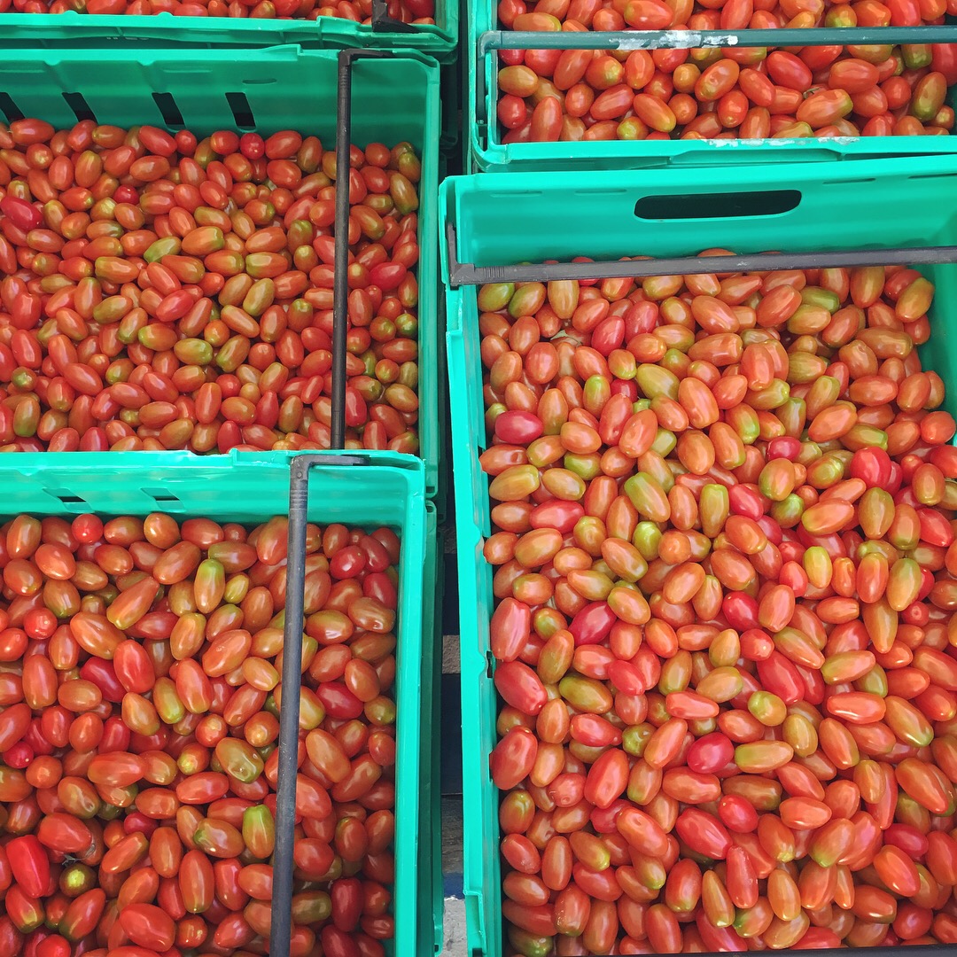 "You say tomato": Is big always bad in food production?