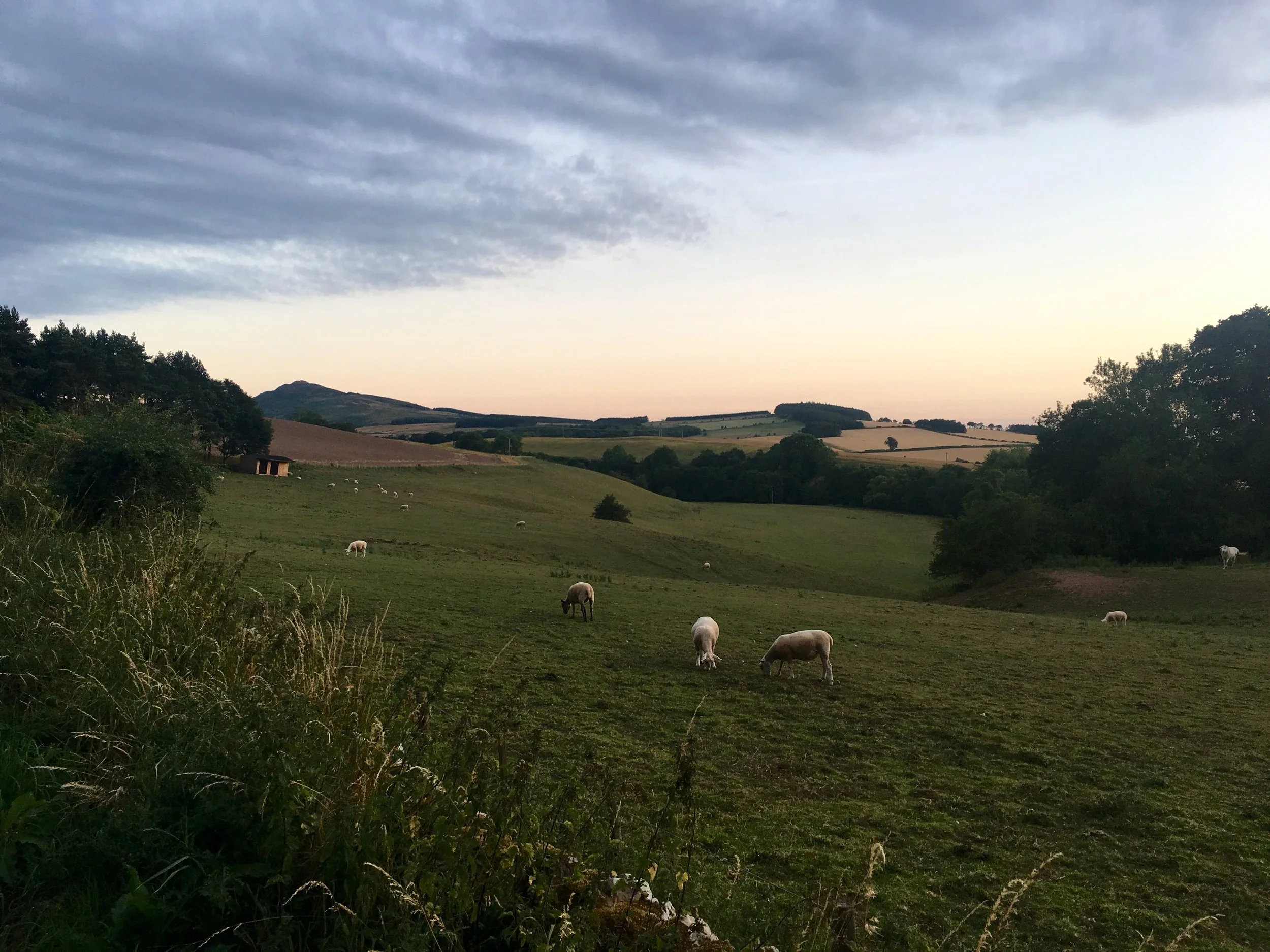 City to Country: Home is something worth writing about.