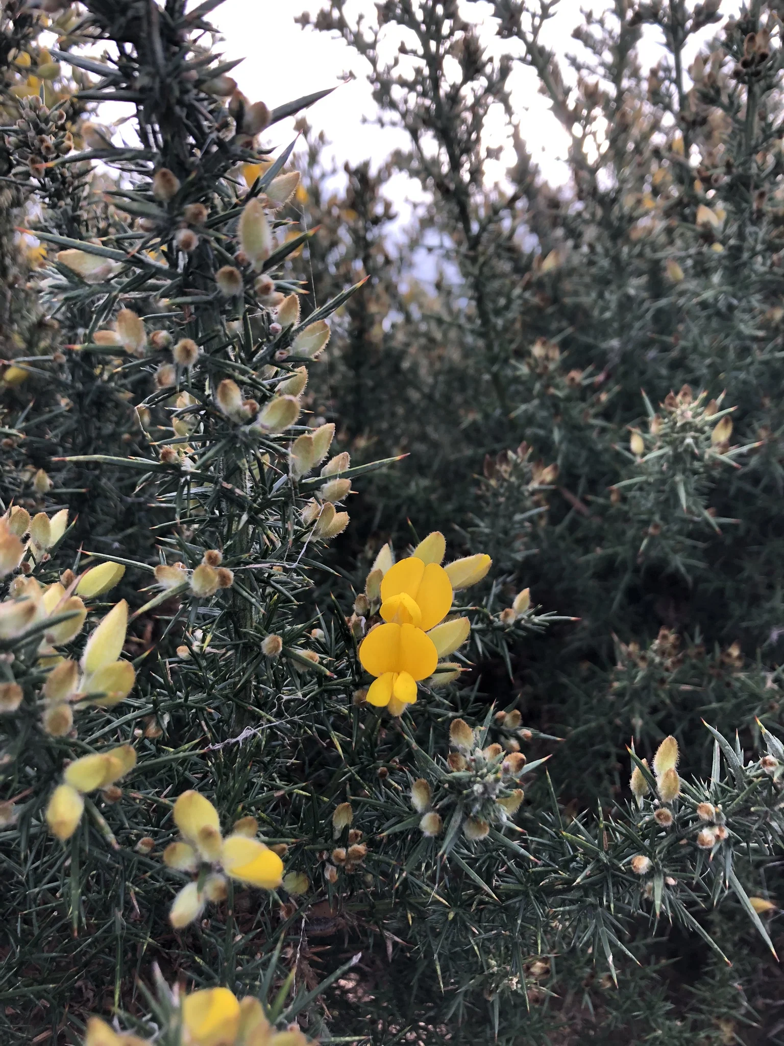 The Joy of Starting Again