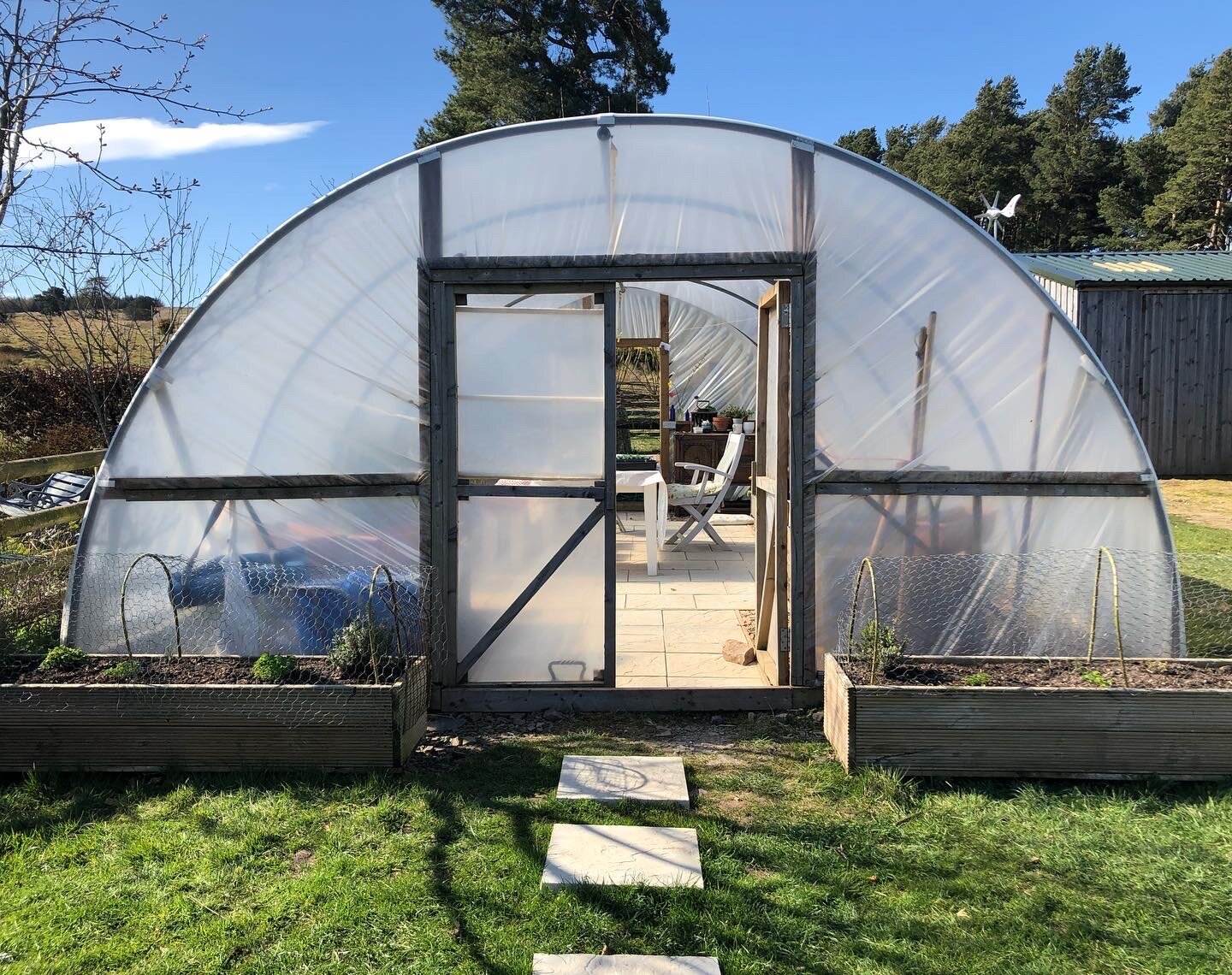 Shade-mapping, wild rhubarb for Easter, and pheasants (6-12 Apr.)