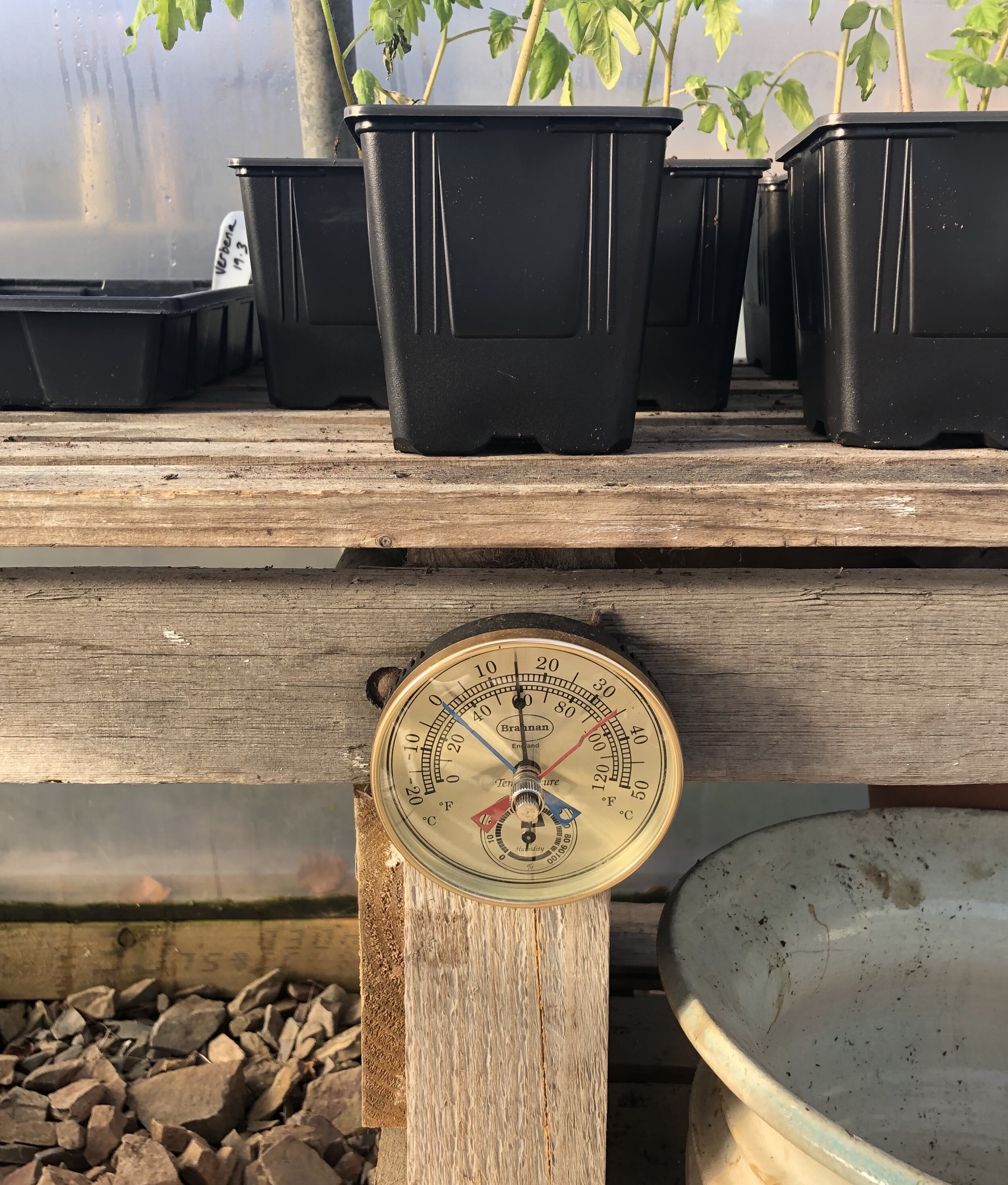 Temperatures from 0-35 in the polytunnel this week