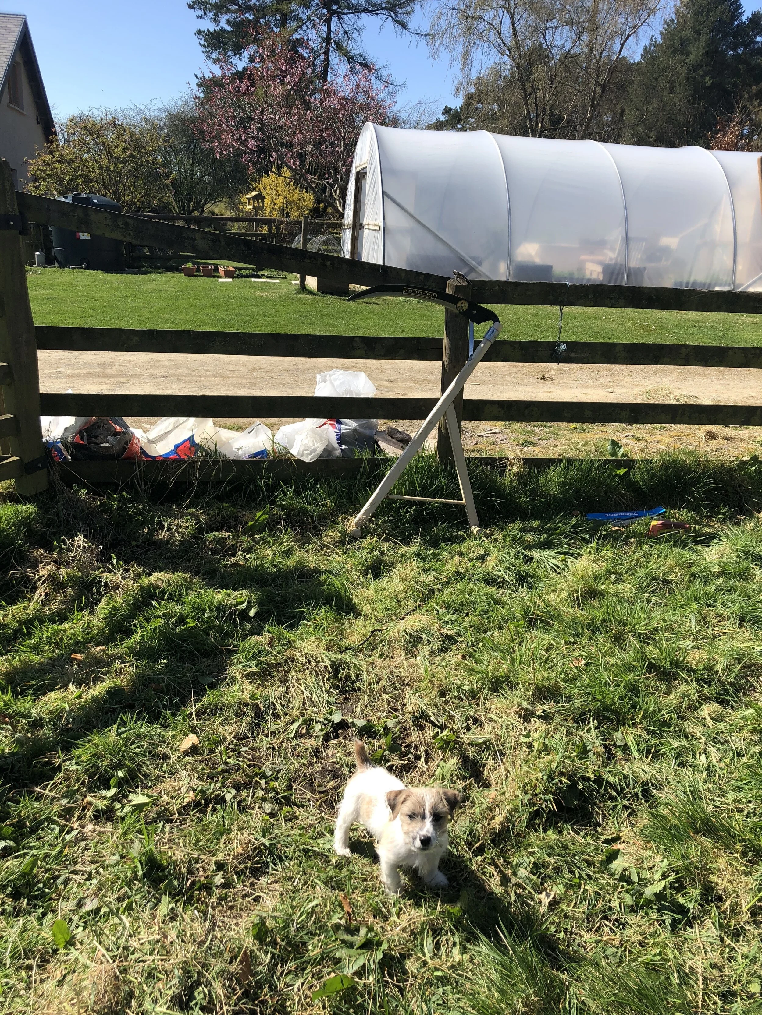 Humph and the scythe (when the latter was in operation, the former was indoors).