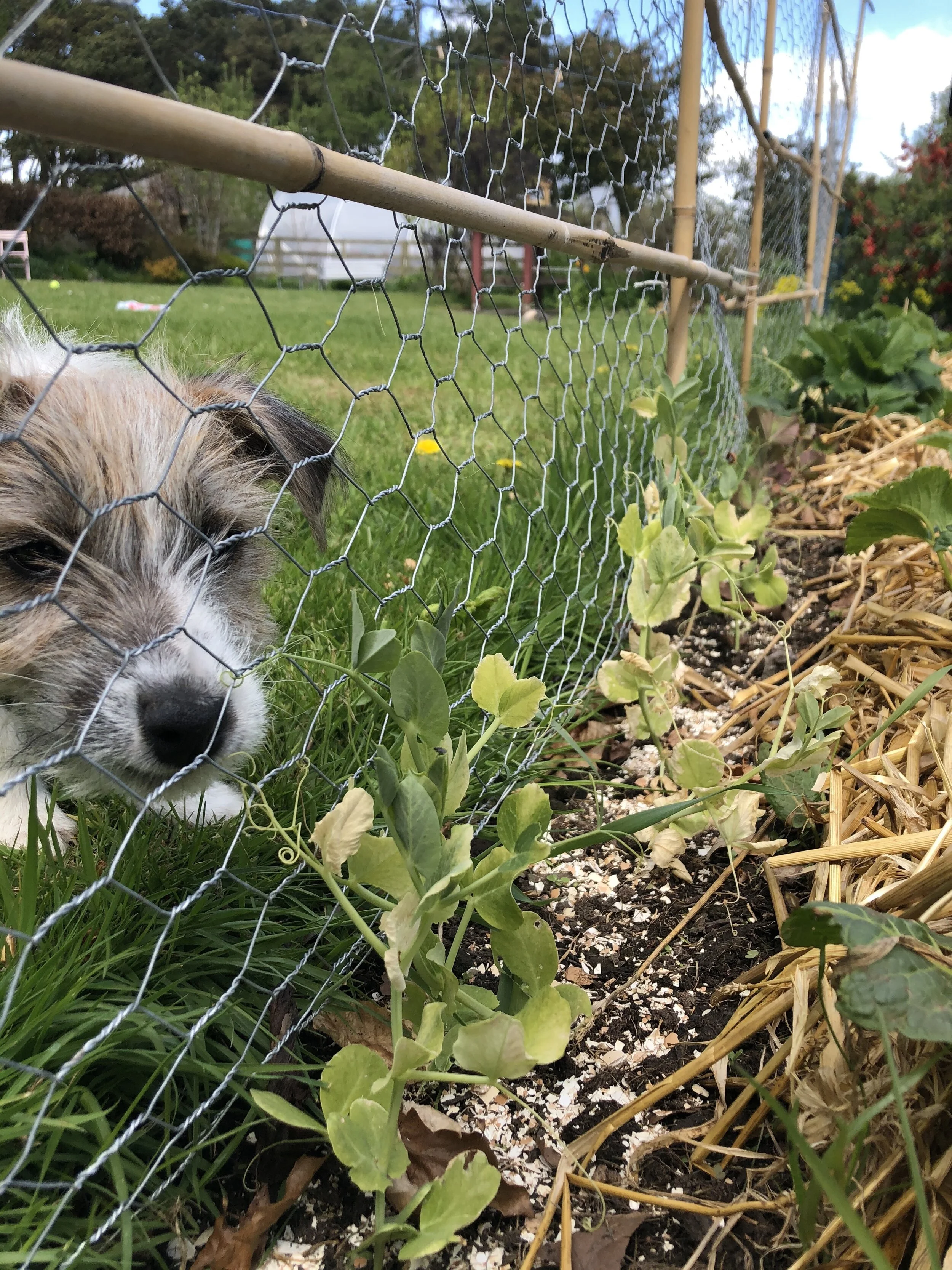 Observe and Interact (4-9th May)