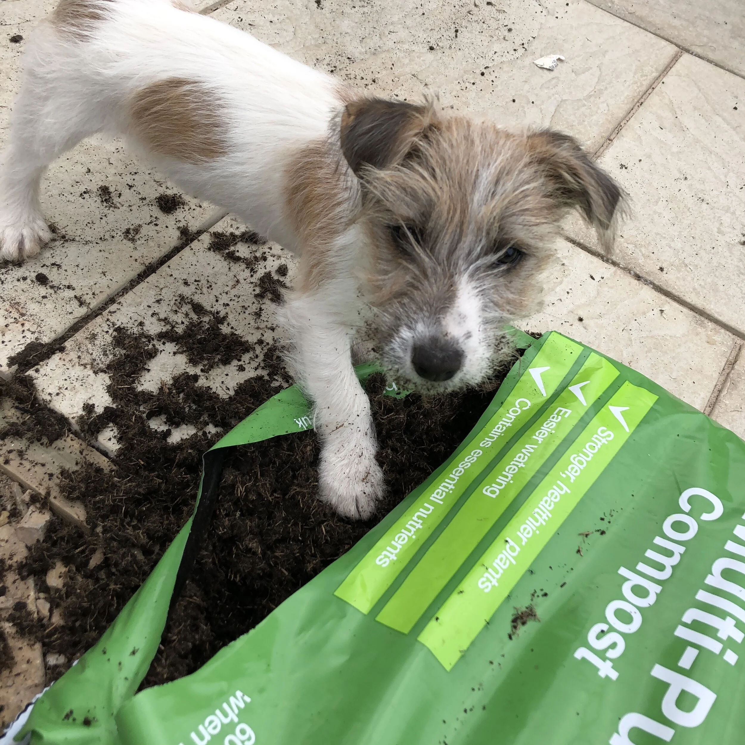 Humph takes an interest in gardening - Positive, negative or interesting?