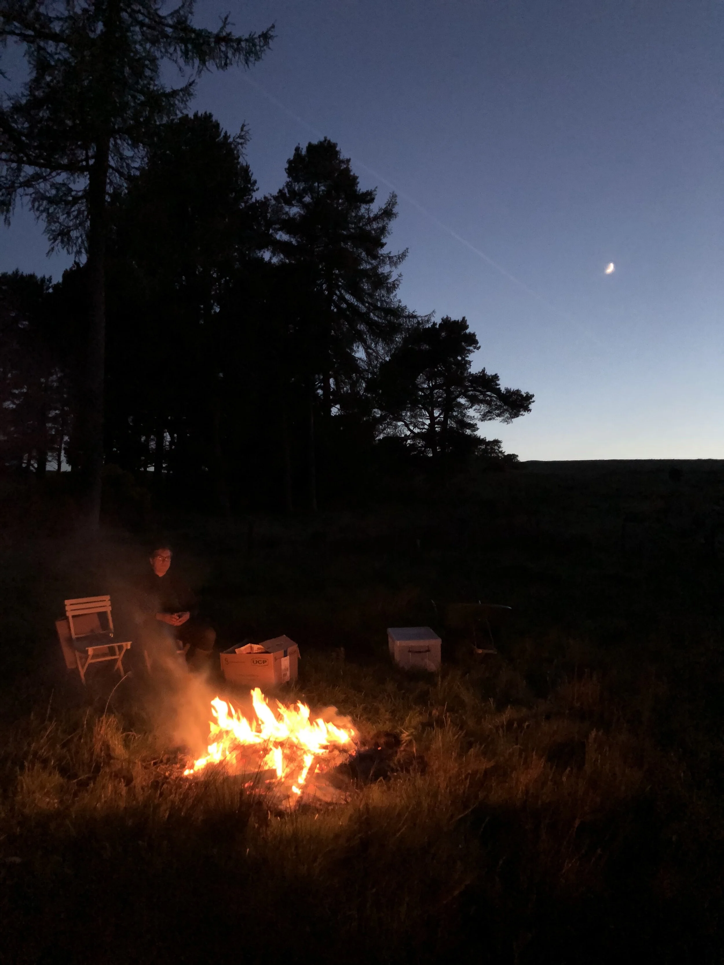 Beehives and Belonging (25th - 31st May)