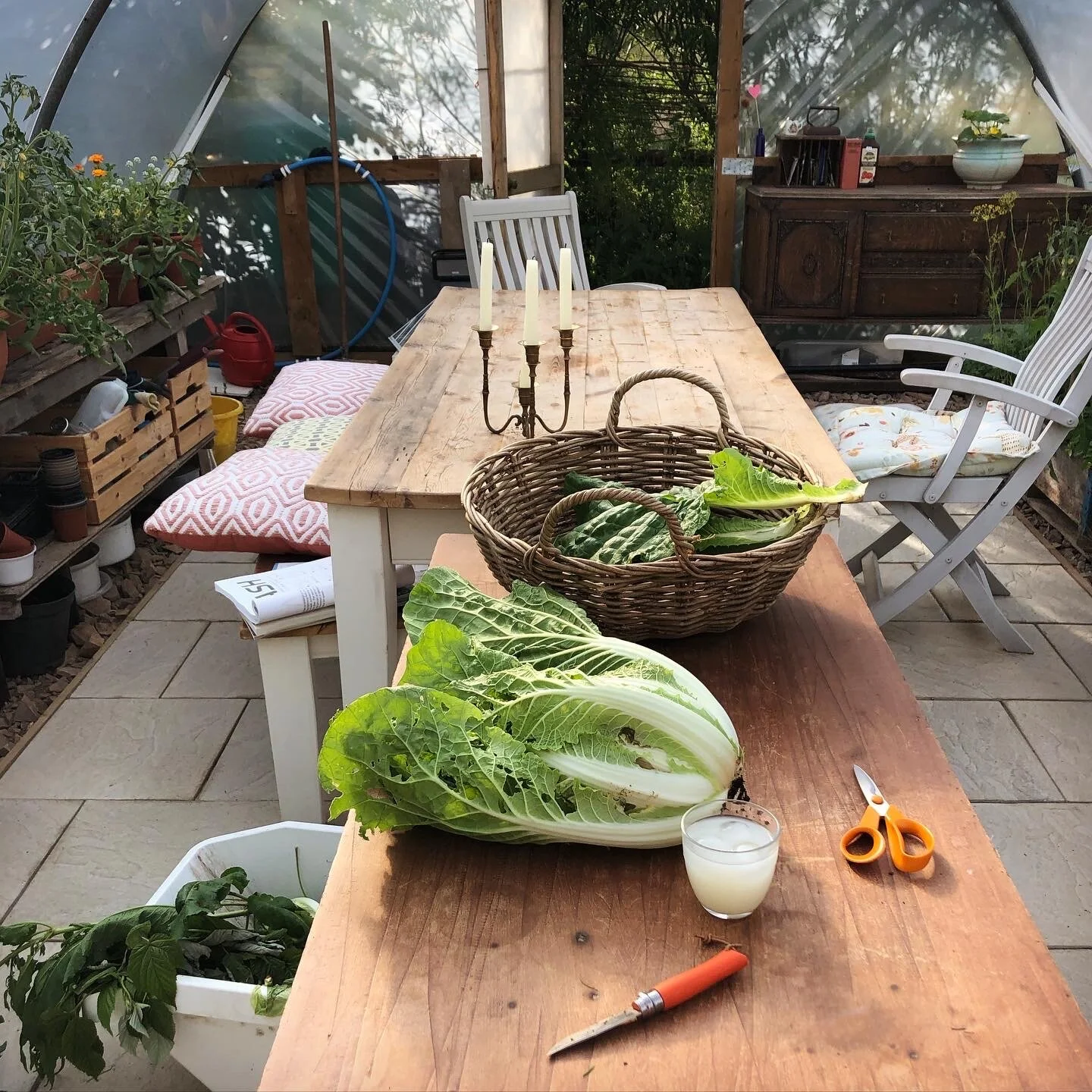 Pastis makes everything better.