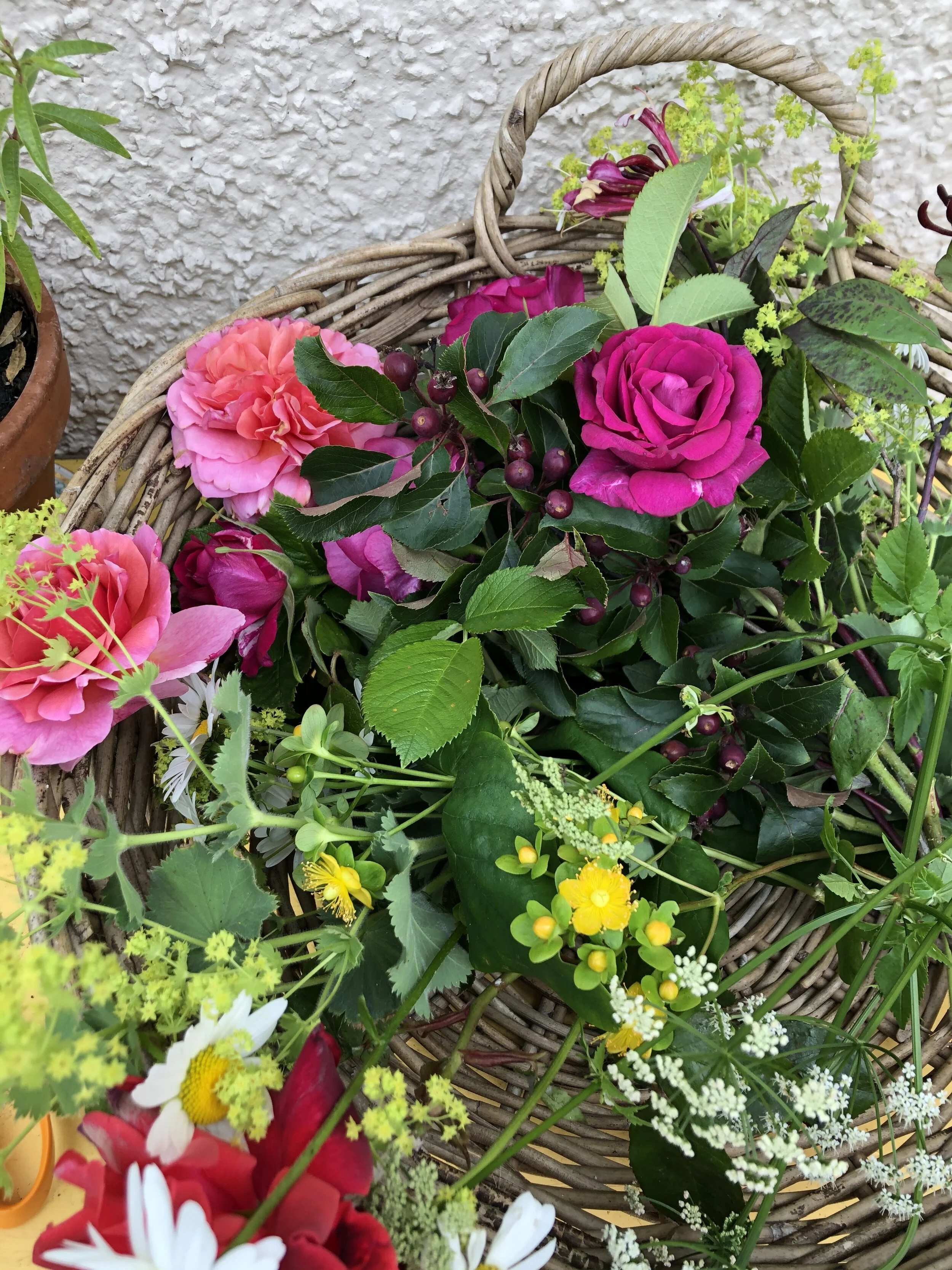 Totally gratuitous flower shot just to keep things jolly.